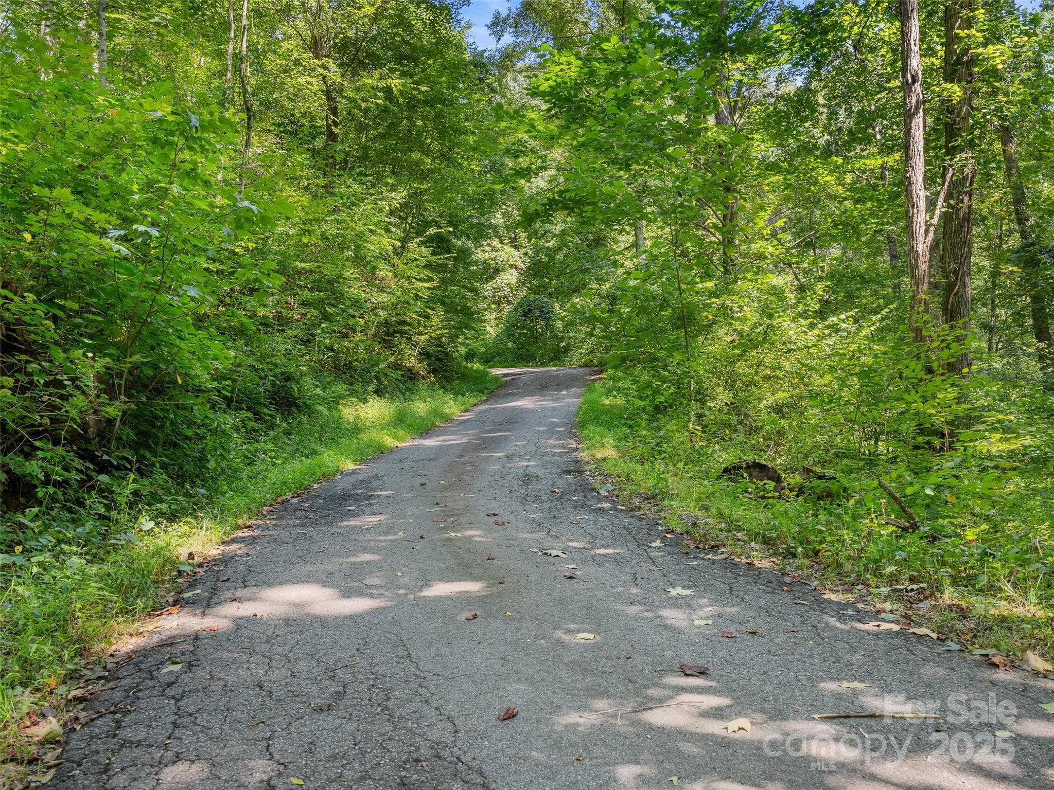 Lot at Waynesville, photo 4 of 18