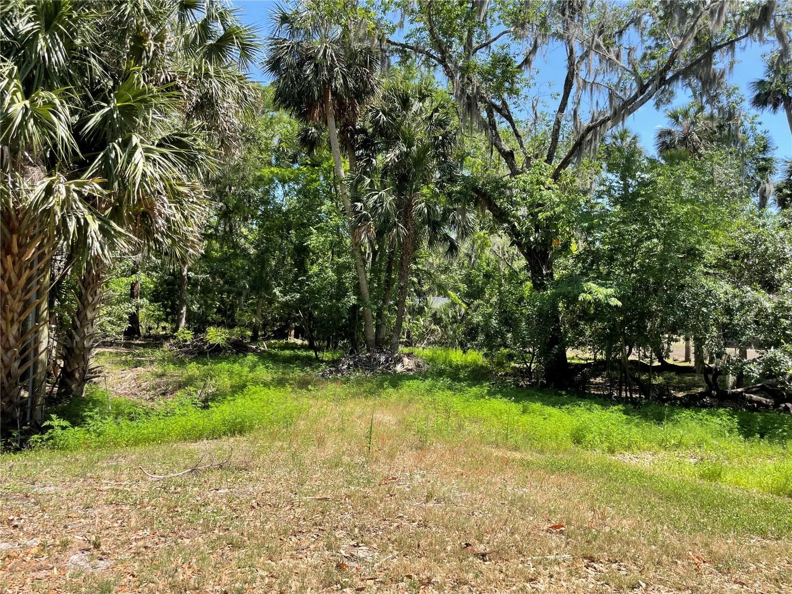 Land at 1496 KETTLEDRUM TRL, DELTONA, photo 2 of 11