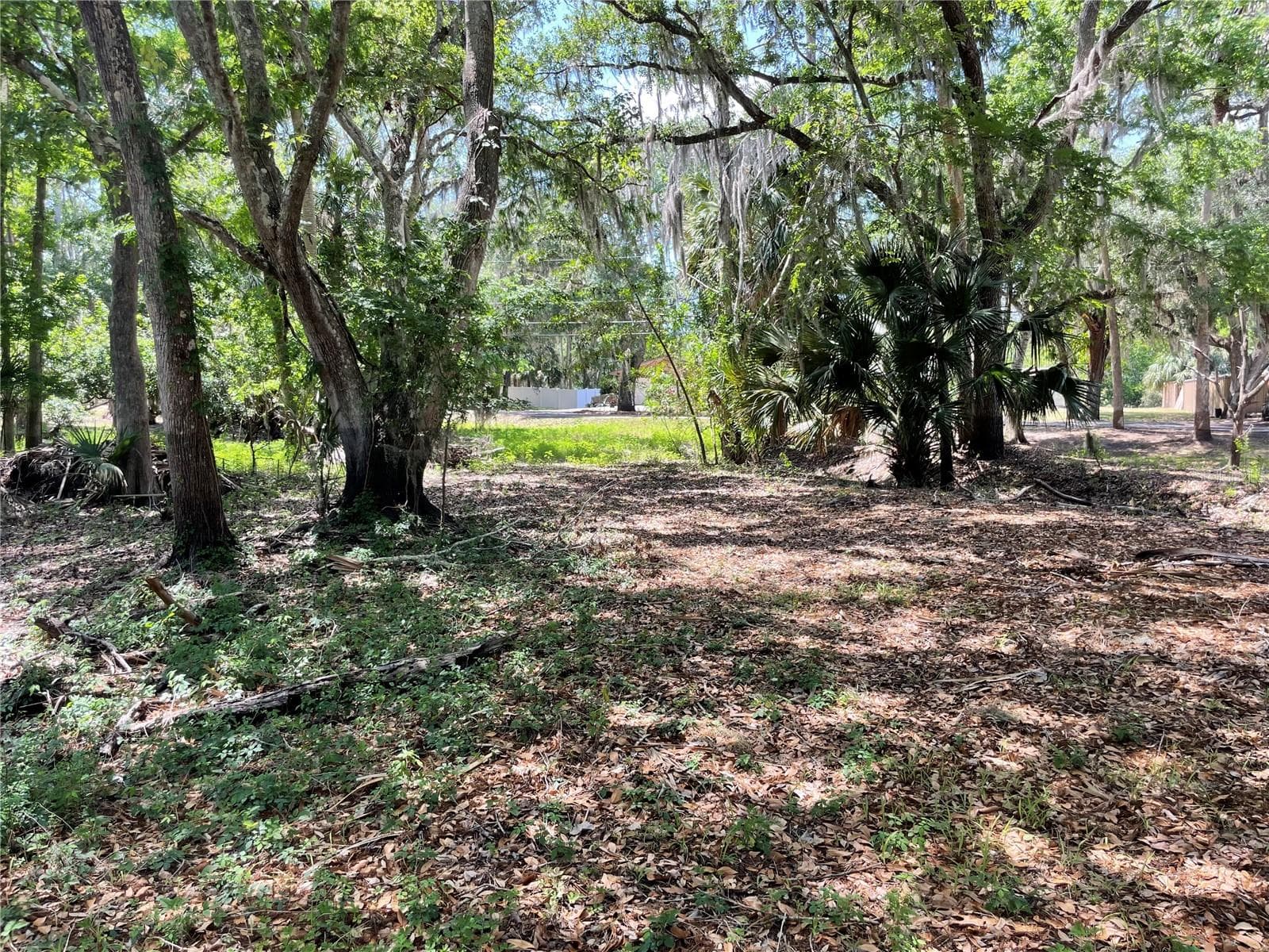 Land at 1496 KETTLEDRUM TRL, DELTONA, photo 3 of 11