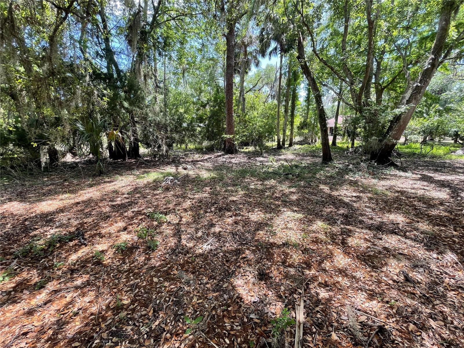 Land at 1496 KETTLEDRUM TRL, DELTONA, photo 4 of 11