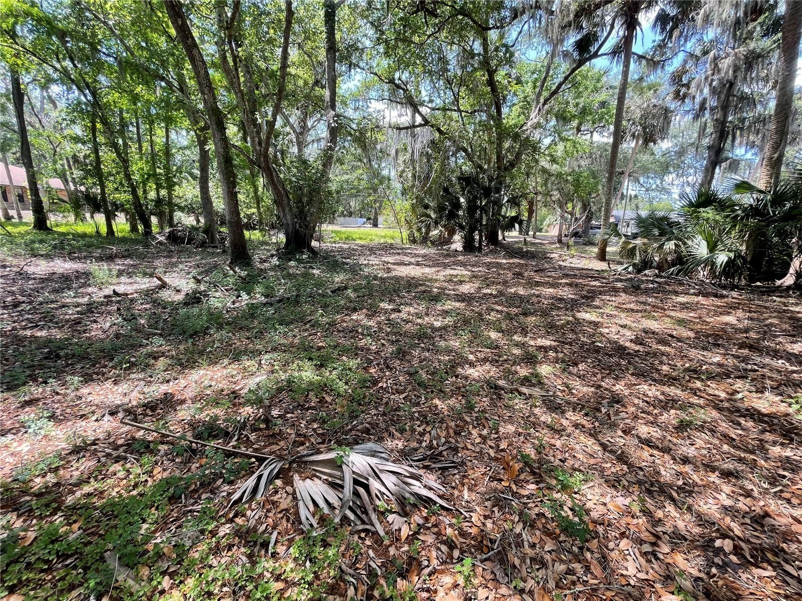 Land at 1496 KETTLEDRUM TRL, DELTONA, photo 5 of 11