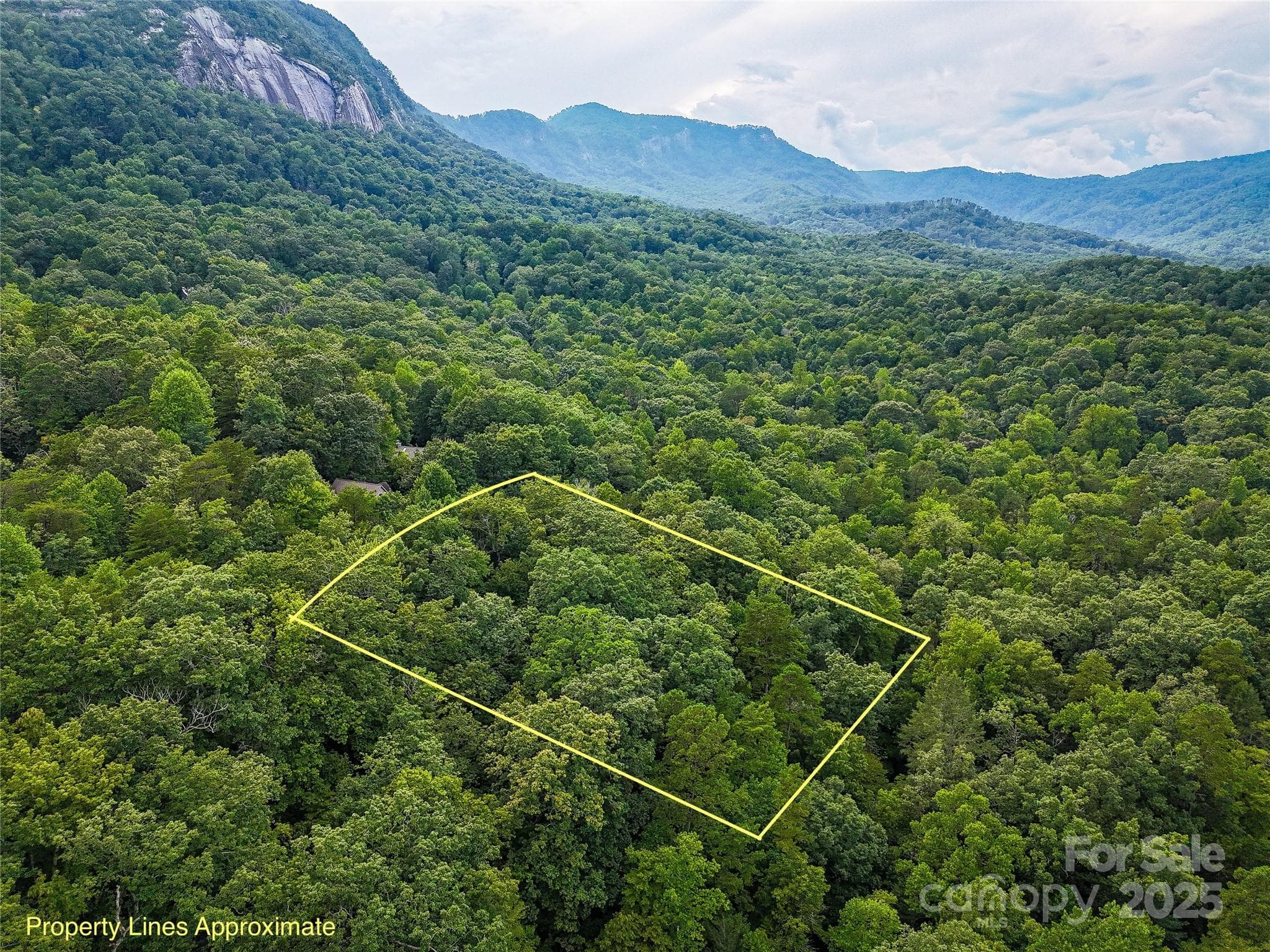 Lot at Lake Lure, photo 2 of 21