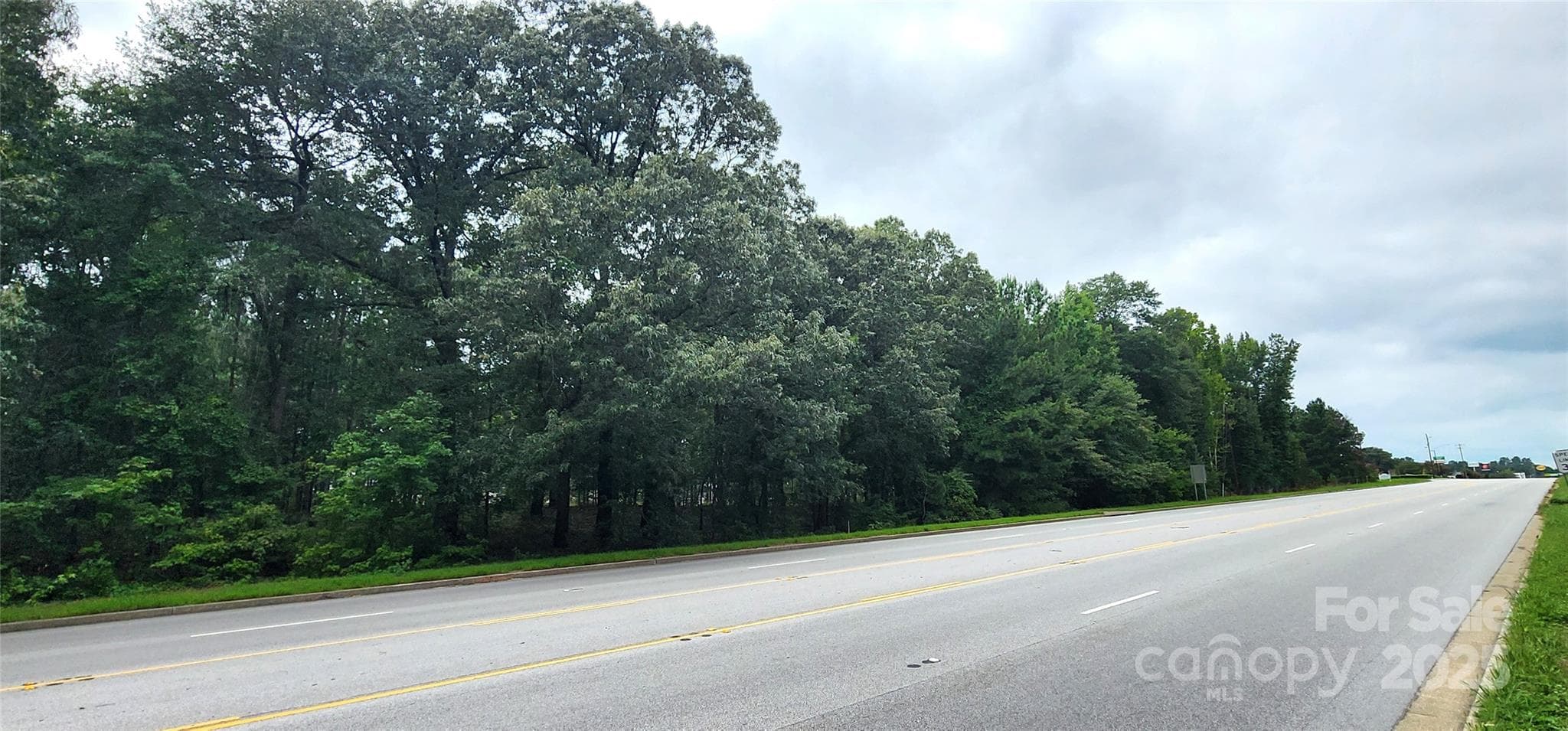 Lot at 510 Van Lingle Mungo Boulevard, Pageland, photo 2 of 16