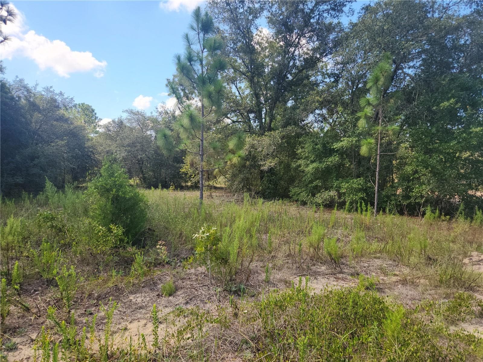 LOT 21 SW RAINBOW LAKES BLVD