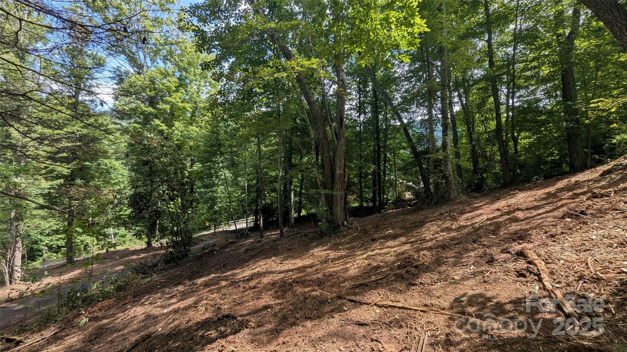 Lot at Waynesville, photo 2 of 12