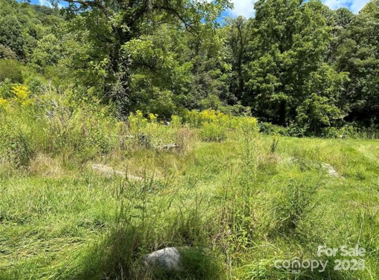 Lower part of land / pasture - Clyde