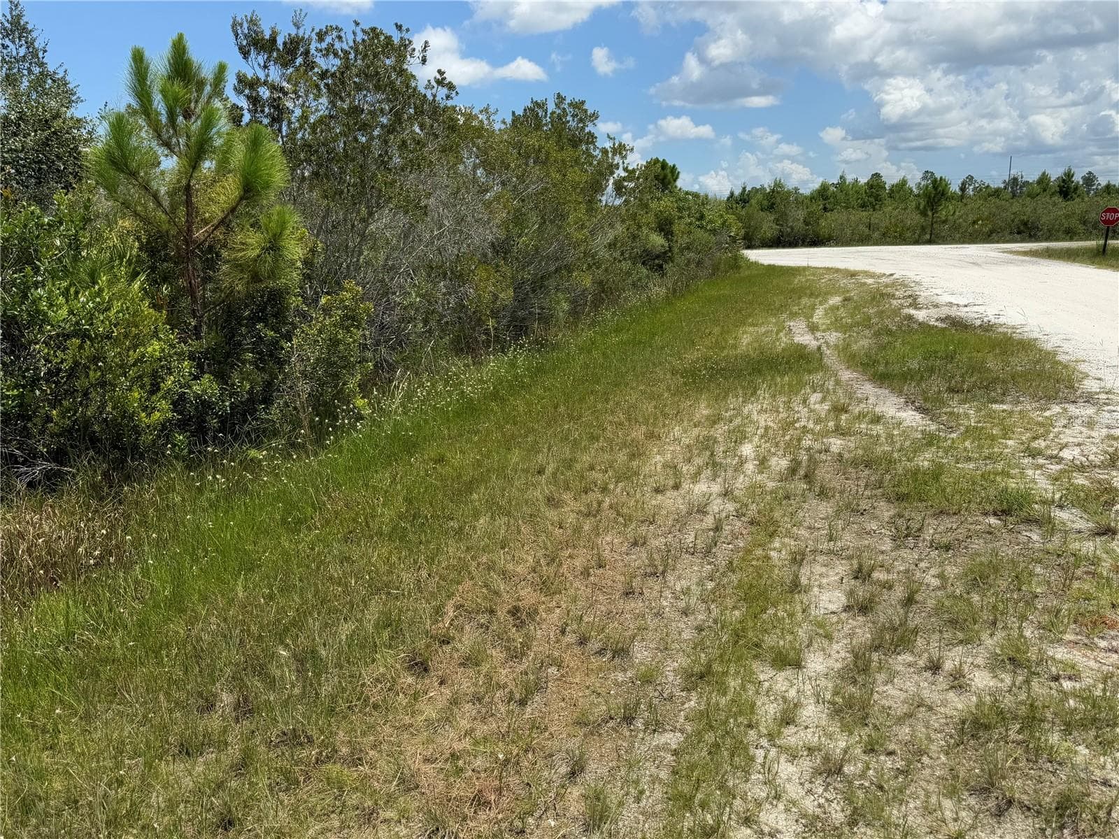 SARASOTA DR