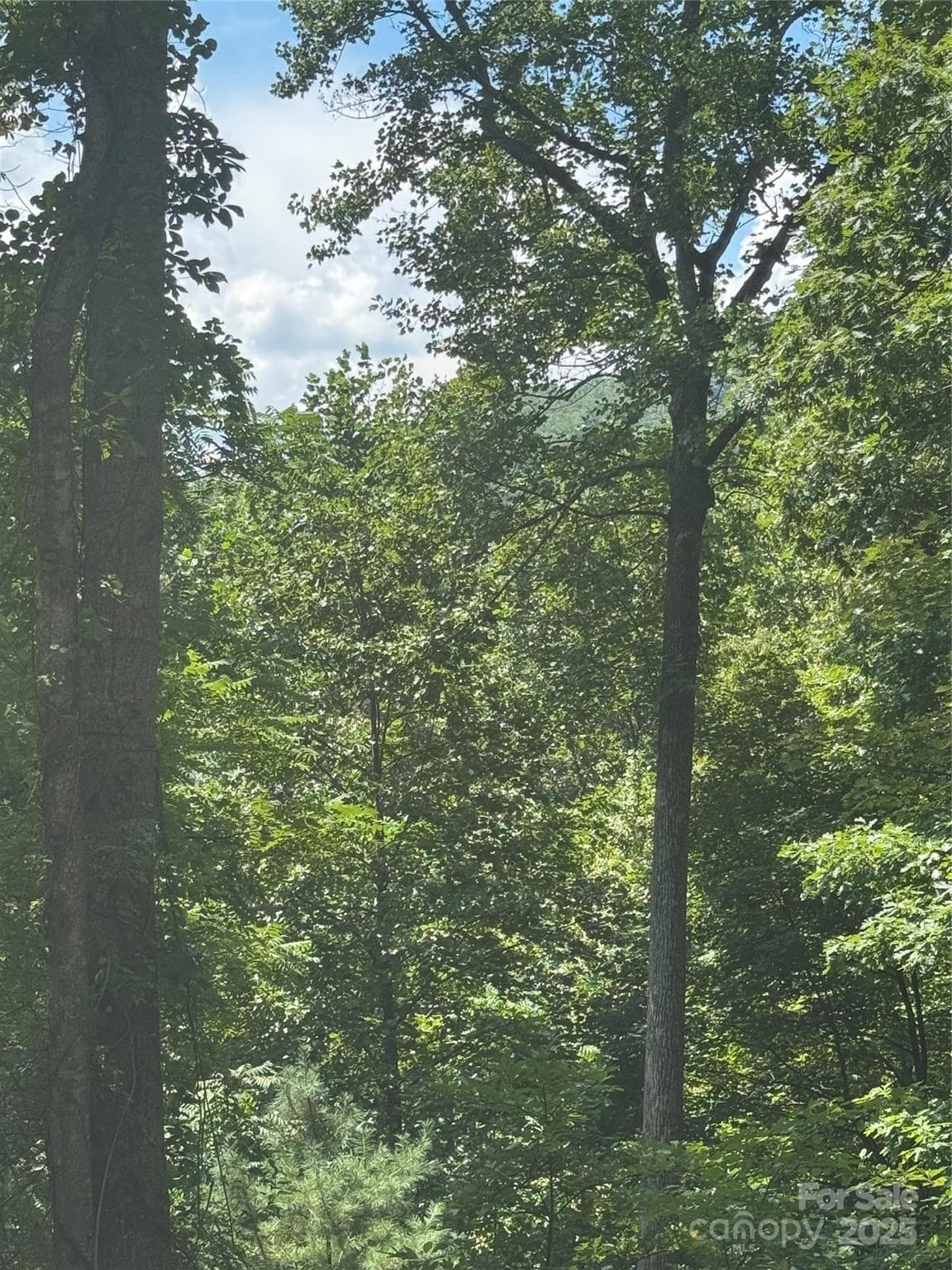 Lot at 23 Red Oak Drive, Mills River, photo 2 of 5