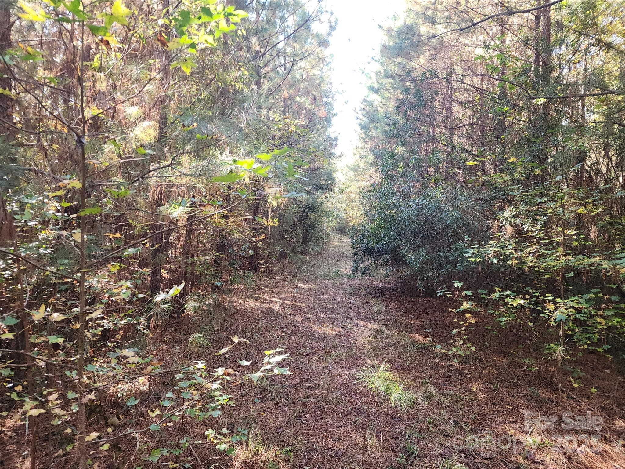 Acreage at 1202 Willow Brook Road, Nashville, photo 10 of 20