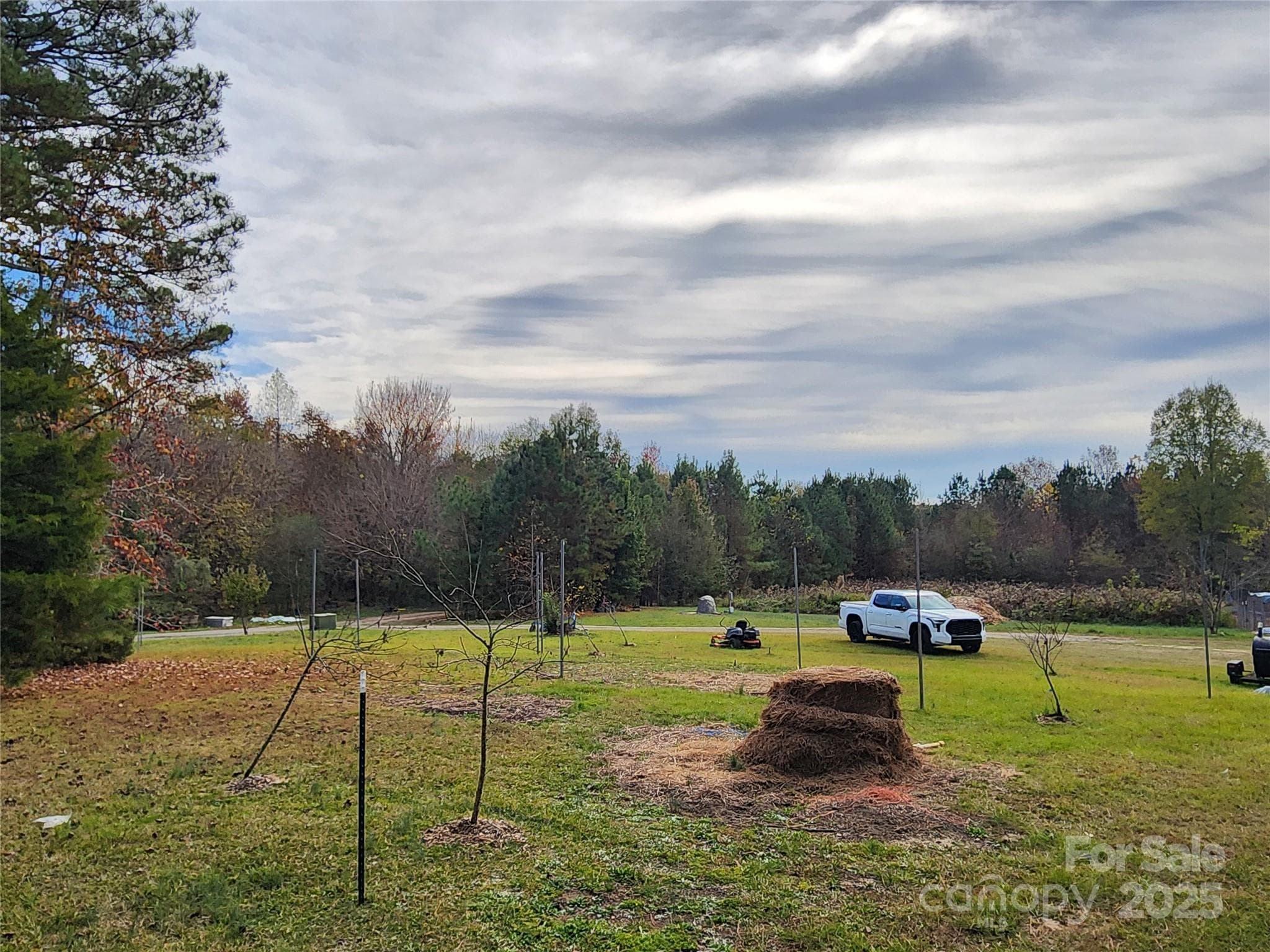 Acreage at 1202 Willow Brook Road, Nashville, photo 13 of 20