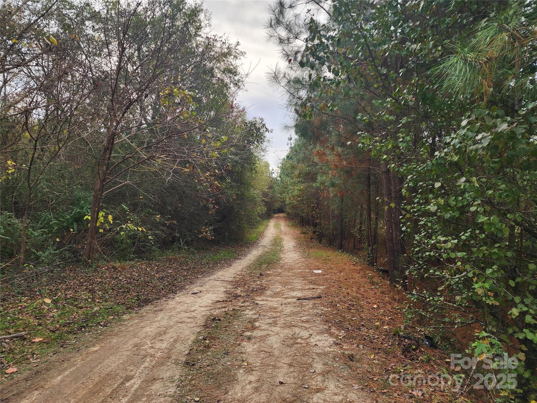 Acreage at 1202 Willow Brook Road, Nashville, photo 14 of 20