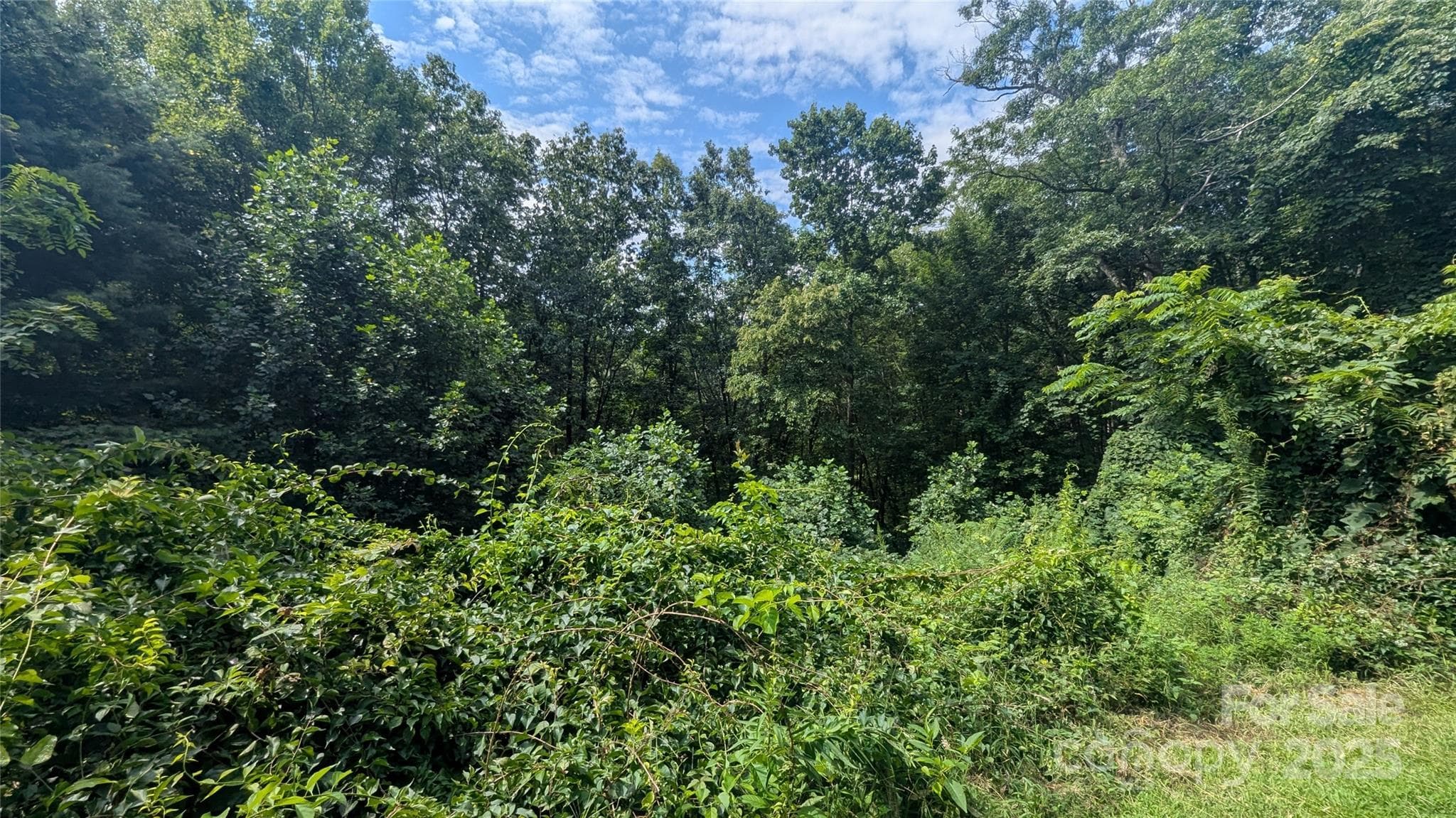 Lot at Waynesville, photo 2 of 8