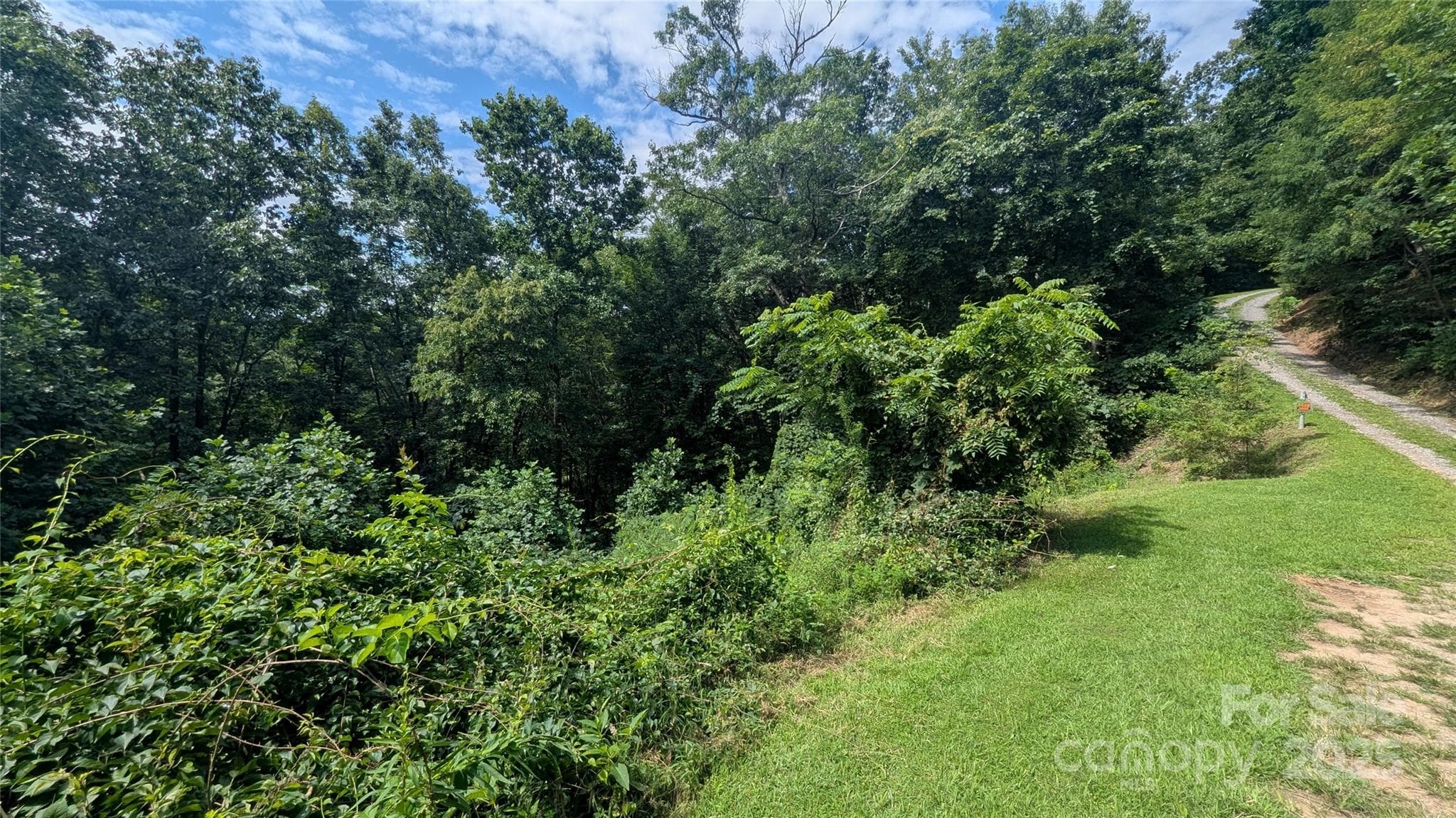 Lot at Waynesville, photo 3 of 8