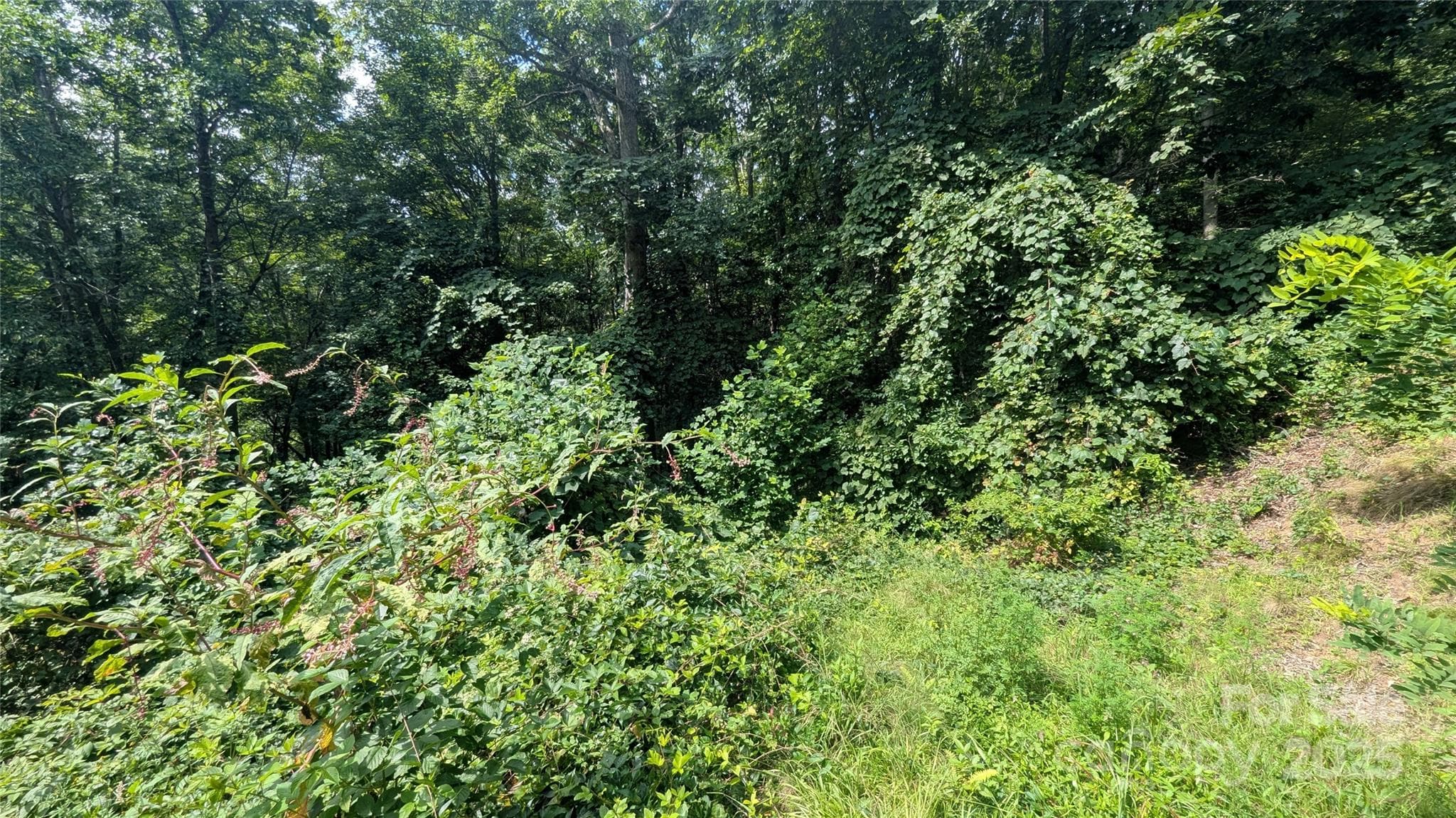 Lot at Waynesville, photo 4 of 8
