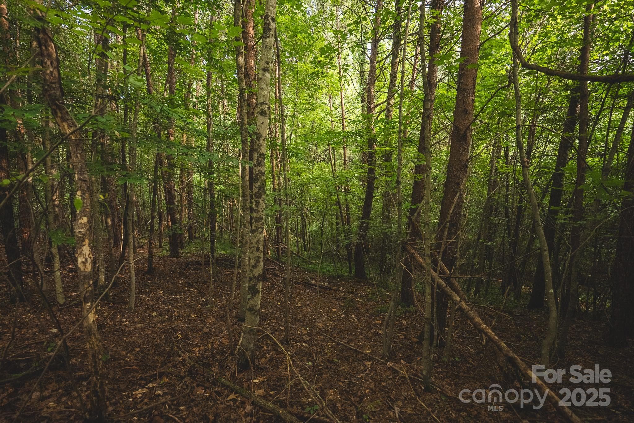 Lot at 00 Johnson Ridge Road, Elkin, photo 7 of 19