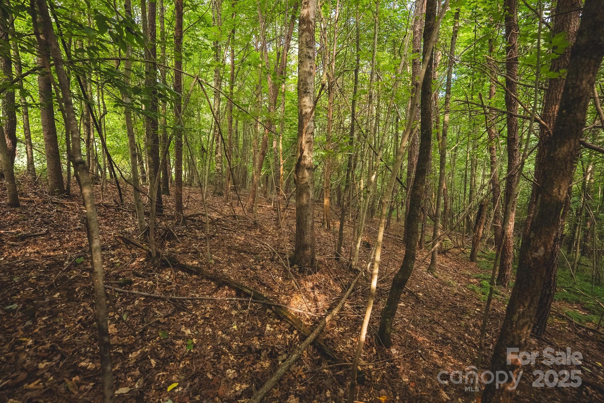 Lot at 00 Johnson Ridge Road, Elkin, photo 8 of 19