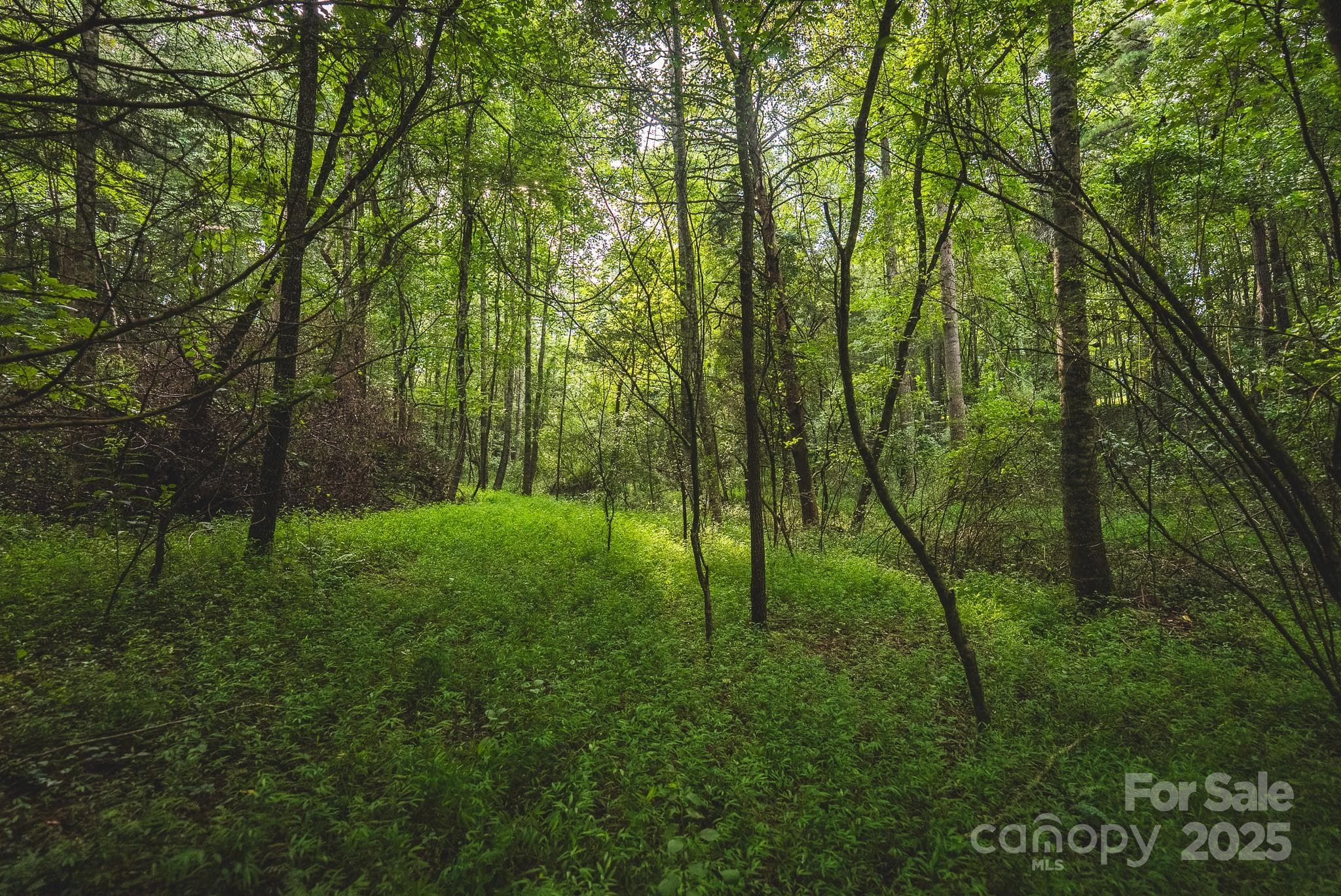 Lot at 00 Johnson Ridge Road, Elkin, photo 17 of 19
