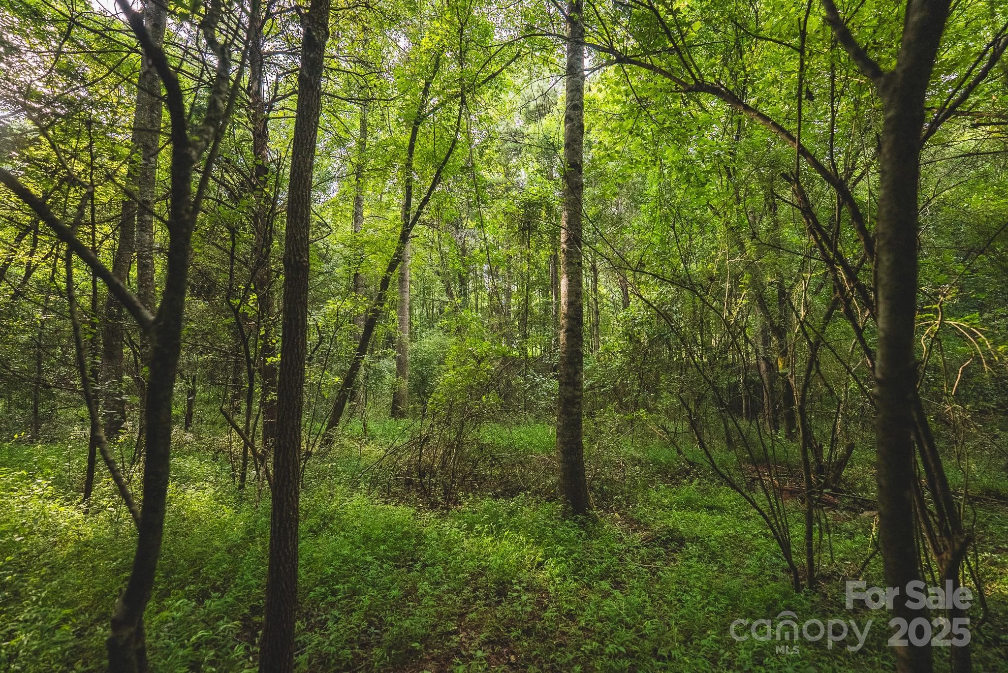 Lot at 00 Johnson Ridge Road, Elkin, photo 18 of 19