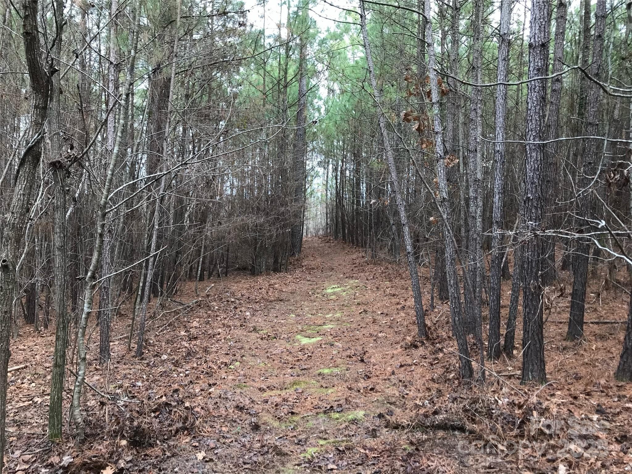 Lot at 68 Lakeside Trail, Lilesville, photo 2 of 8