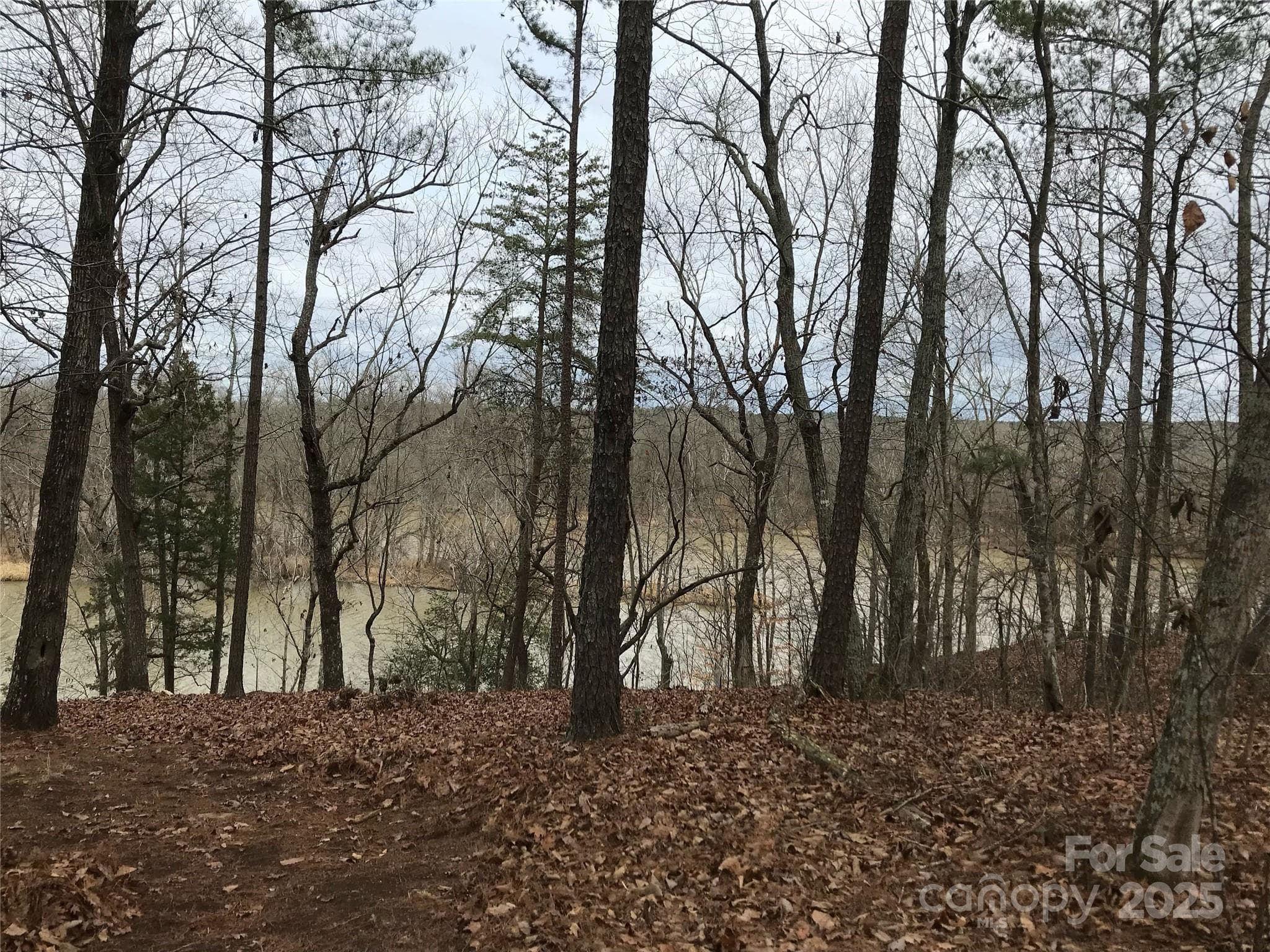 Lot at 68 Lakeside Trail, Lilesville, photo 3 of 8