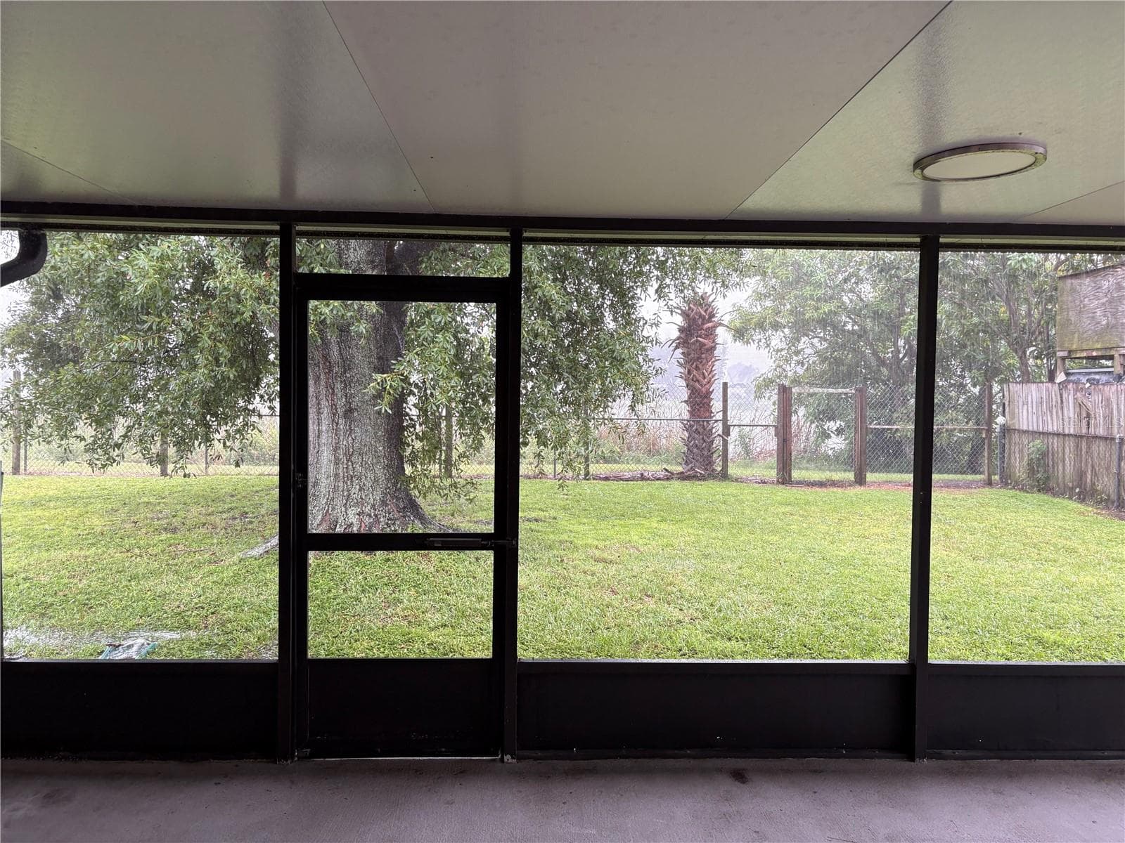 Lanai / Rear Yard - 6418 W PARIS ST, TAMPA