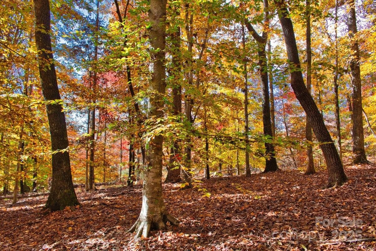 Lot at 0 Cinnamon Ridge, Rutherfordton, photo 6 of 6