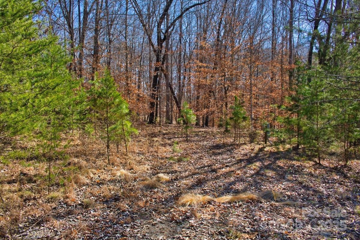 Lot at 0 Cinnamon Ridge, Rutherfordton, photo 2 of 6