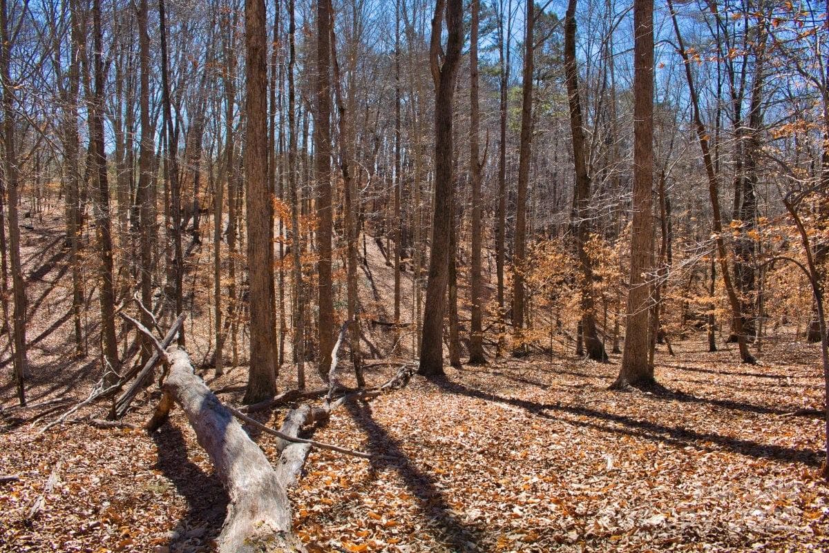Lot at 0 Cinnamon Ridge, Rutherfordton, photo 4 of 6