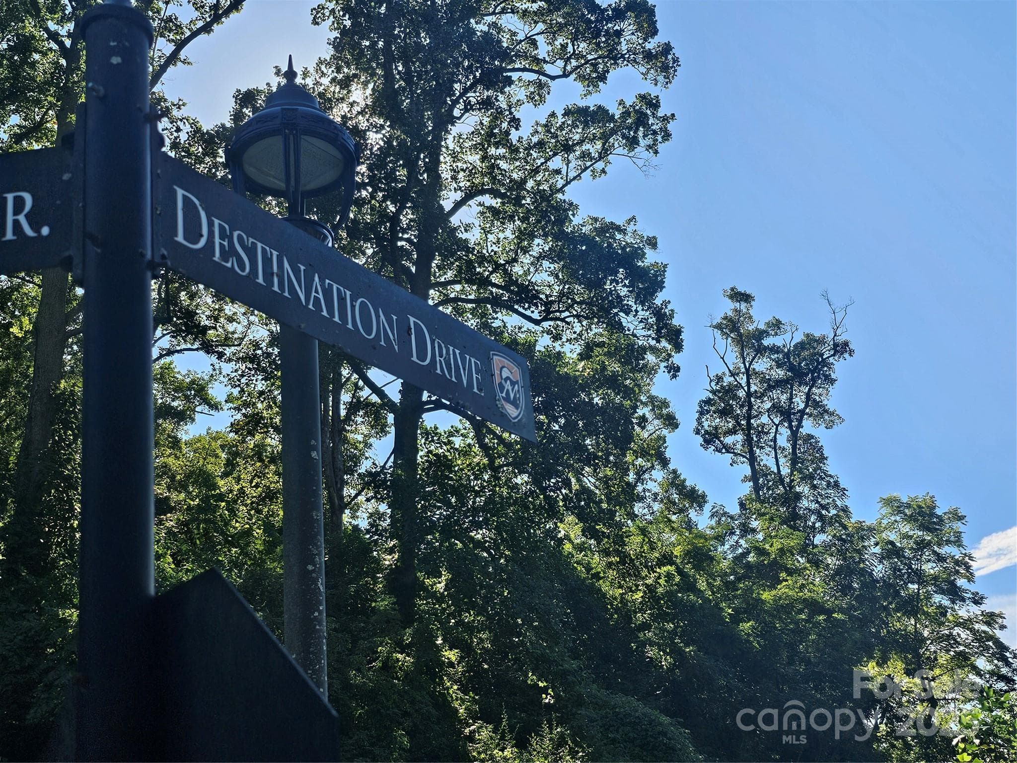 Destination Dr end at top of property - Asheville