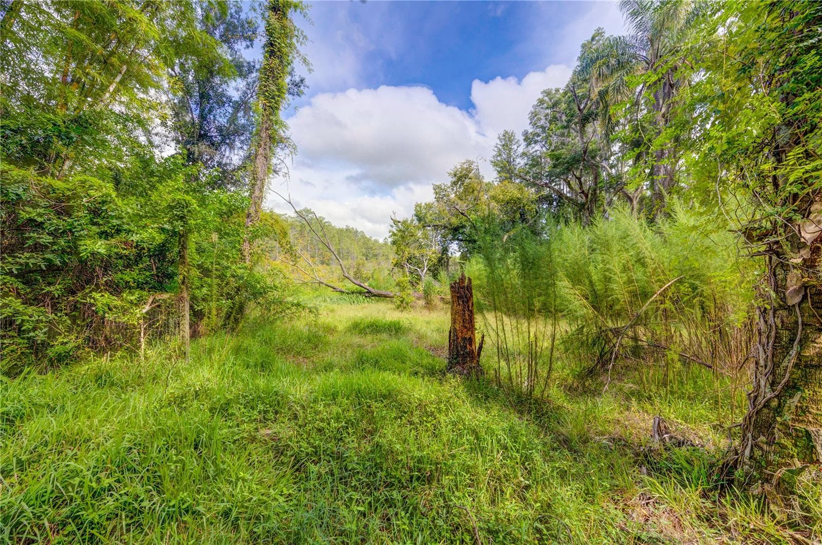 Land at 7408 TOM DR, LAND O LAKES, photo 6 of 31