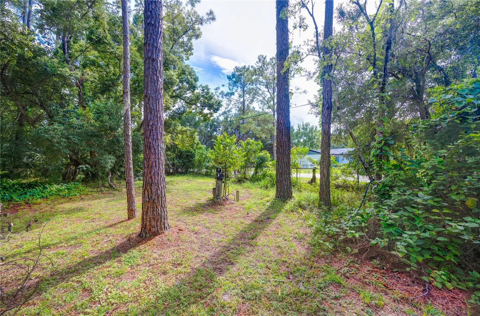 Land at 7408 TOM DR, LAND O LAKES, photo 12 of 31