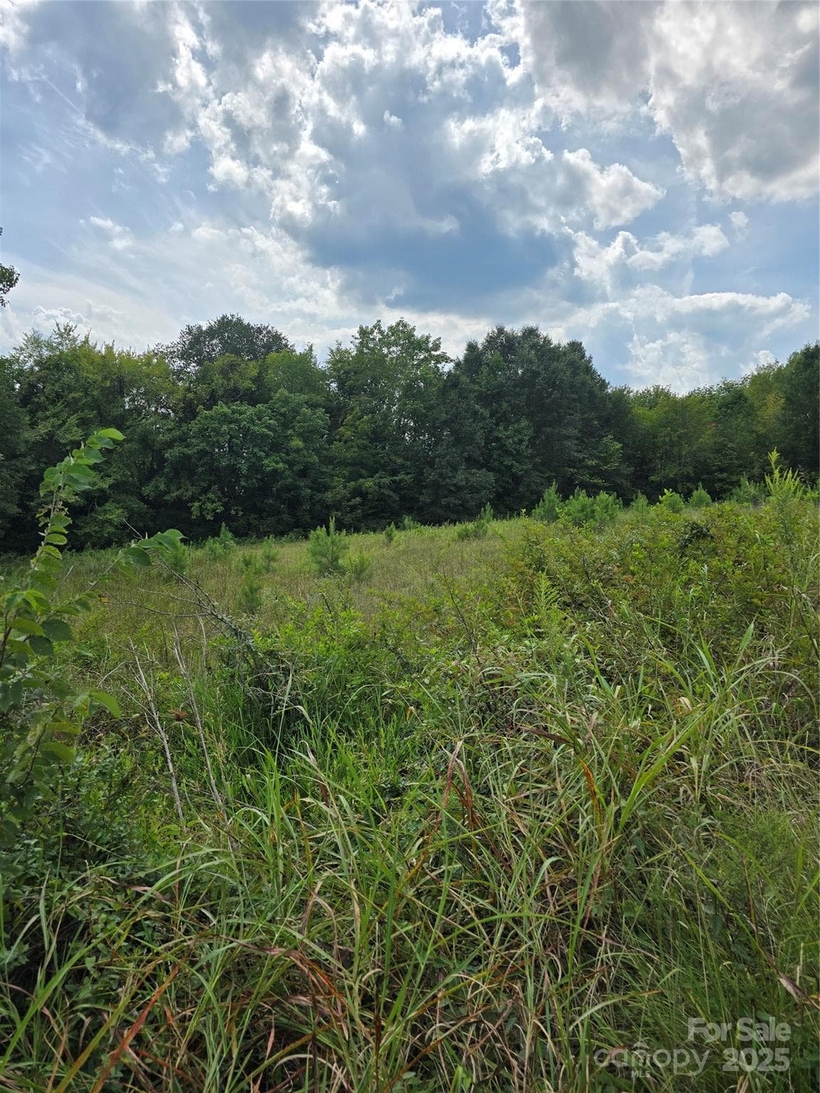 Unimproved Commercial at 1768 Concord Lake Road, Kannapolis, photo 3 of 4