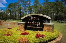 Land at 8545 N WALLINGFORD AVE, DUNNELLON, photo 3 of 4