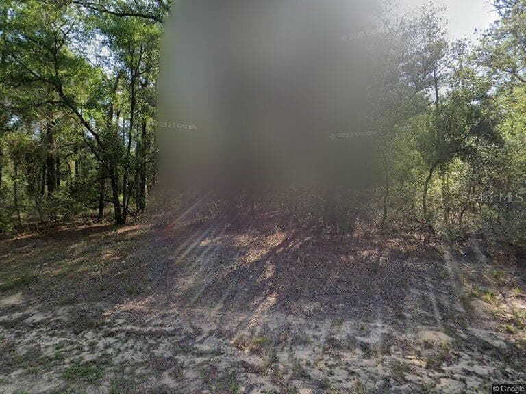 Land at 491 E NEMO DR, DUNNELLON, photo 2 of 4