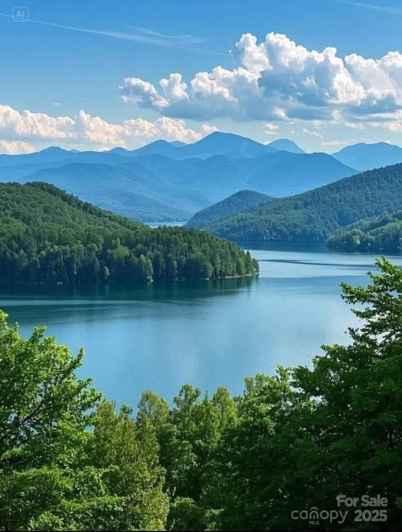 Lake Lure. - Lake Lure