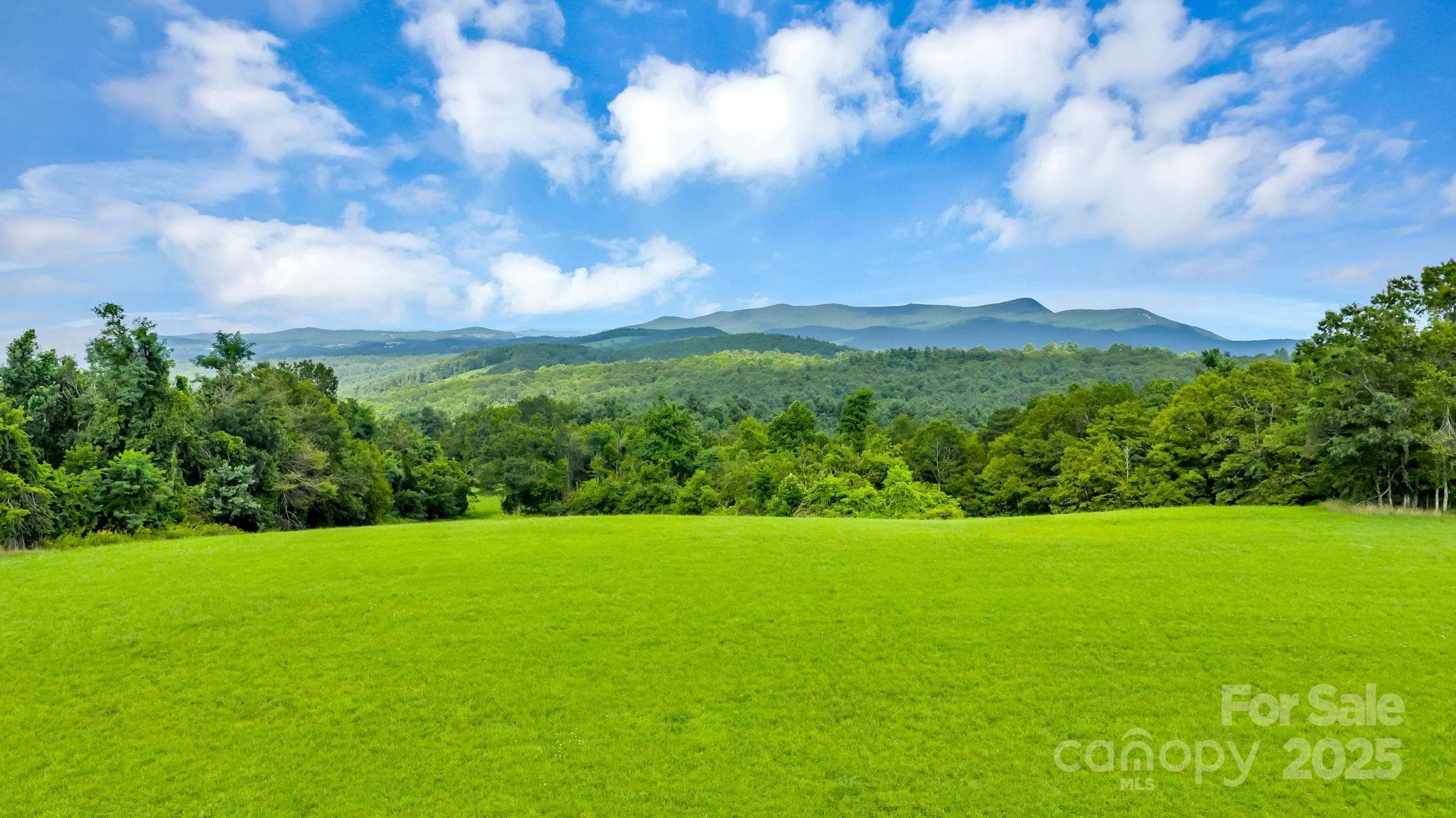 Acreage at TBD Murphy Bend Road, Ennice, photo 2 of 48