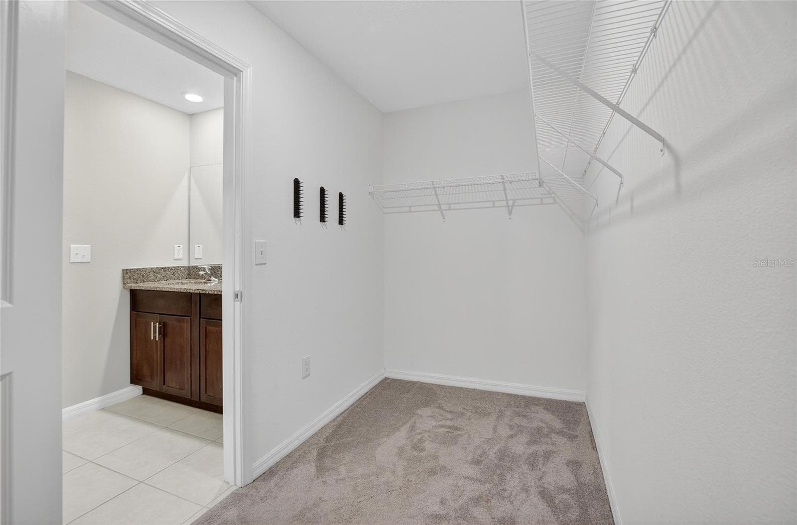 Single Family Residence at 12788 MAPLE BONSAI DR, RIVERVIEW, photo 23 of 52