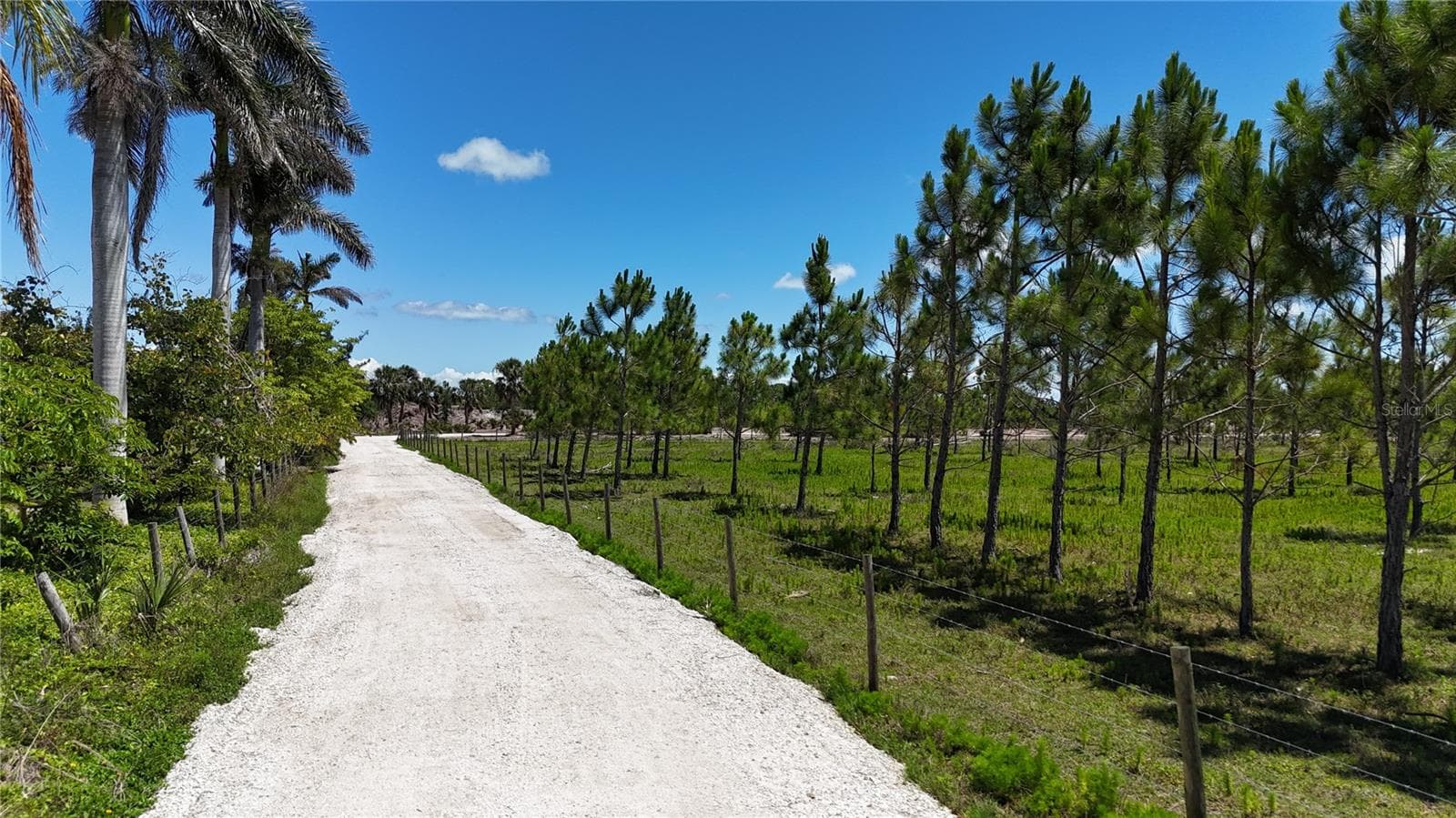 Land at 6455 STRINGFELLOW RD, ST JAMES CITY, photo 3 of 33