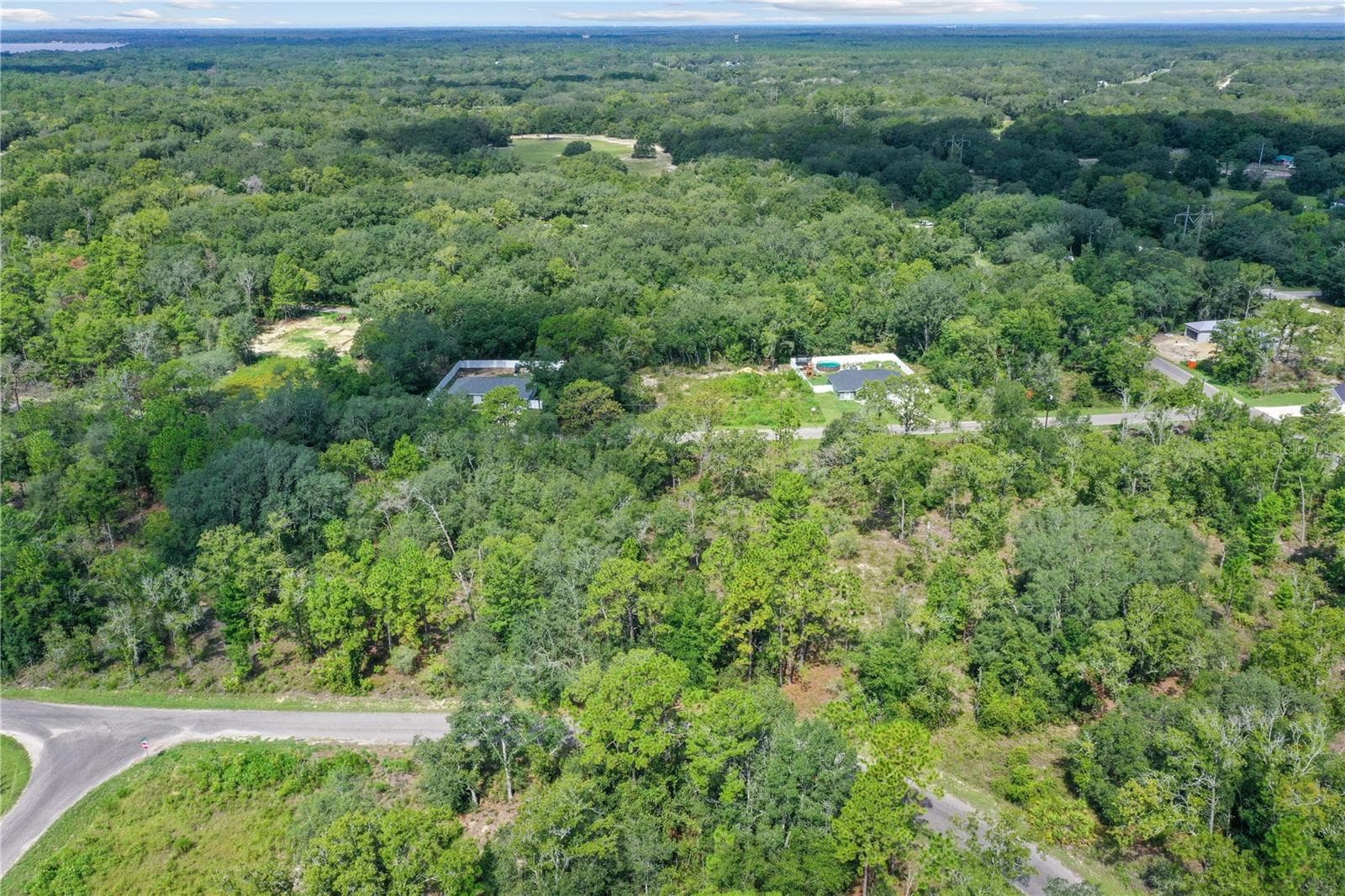 Land at 0024 GUAVA PASS DR, OCKLAWAHA, photo 10 of 24