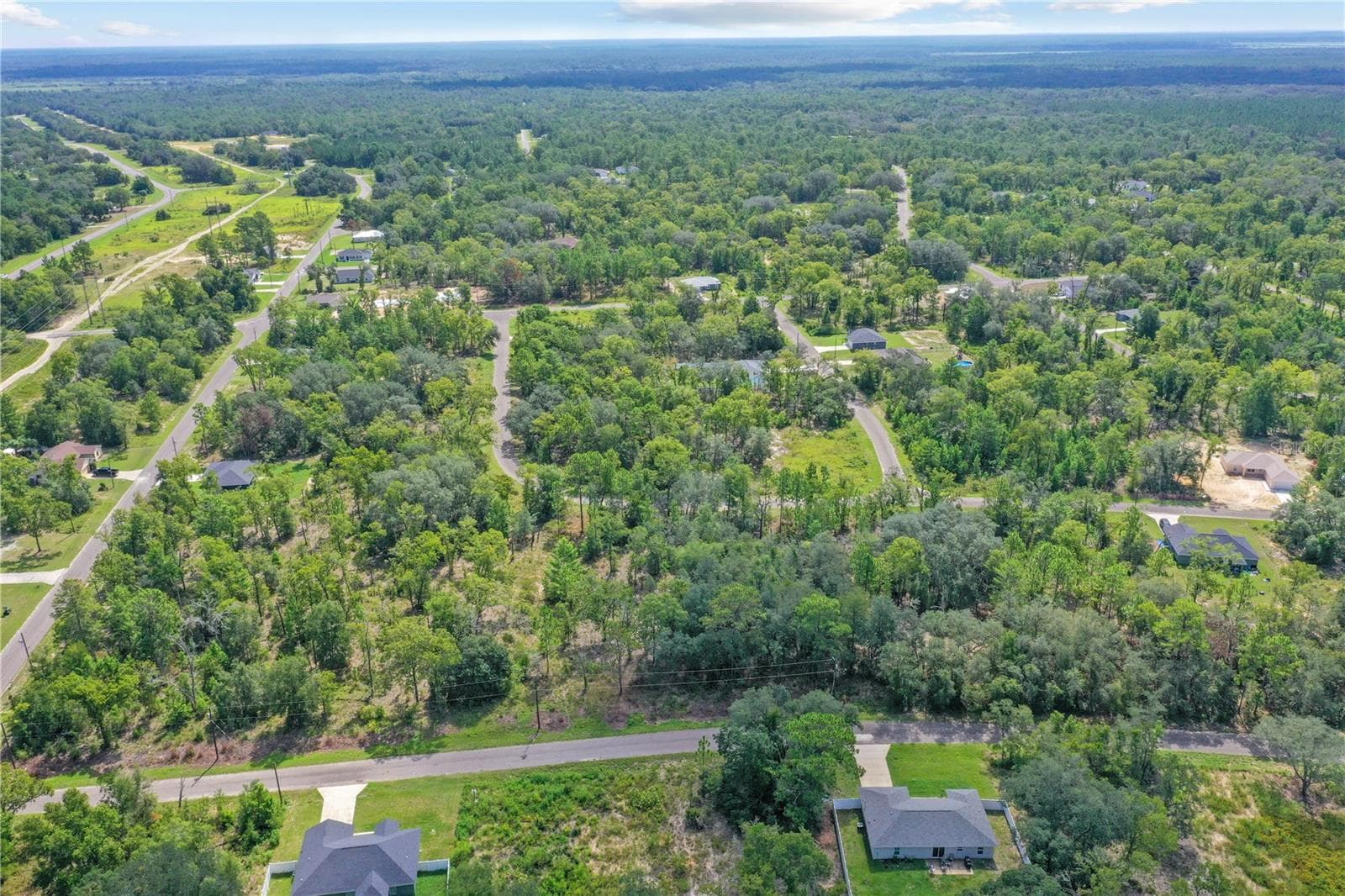 Land at 0024 GUAVA PASS DR, OCKLAWAHA, photo 16 of 24