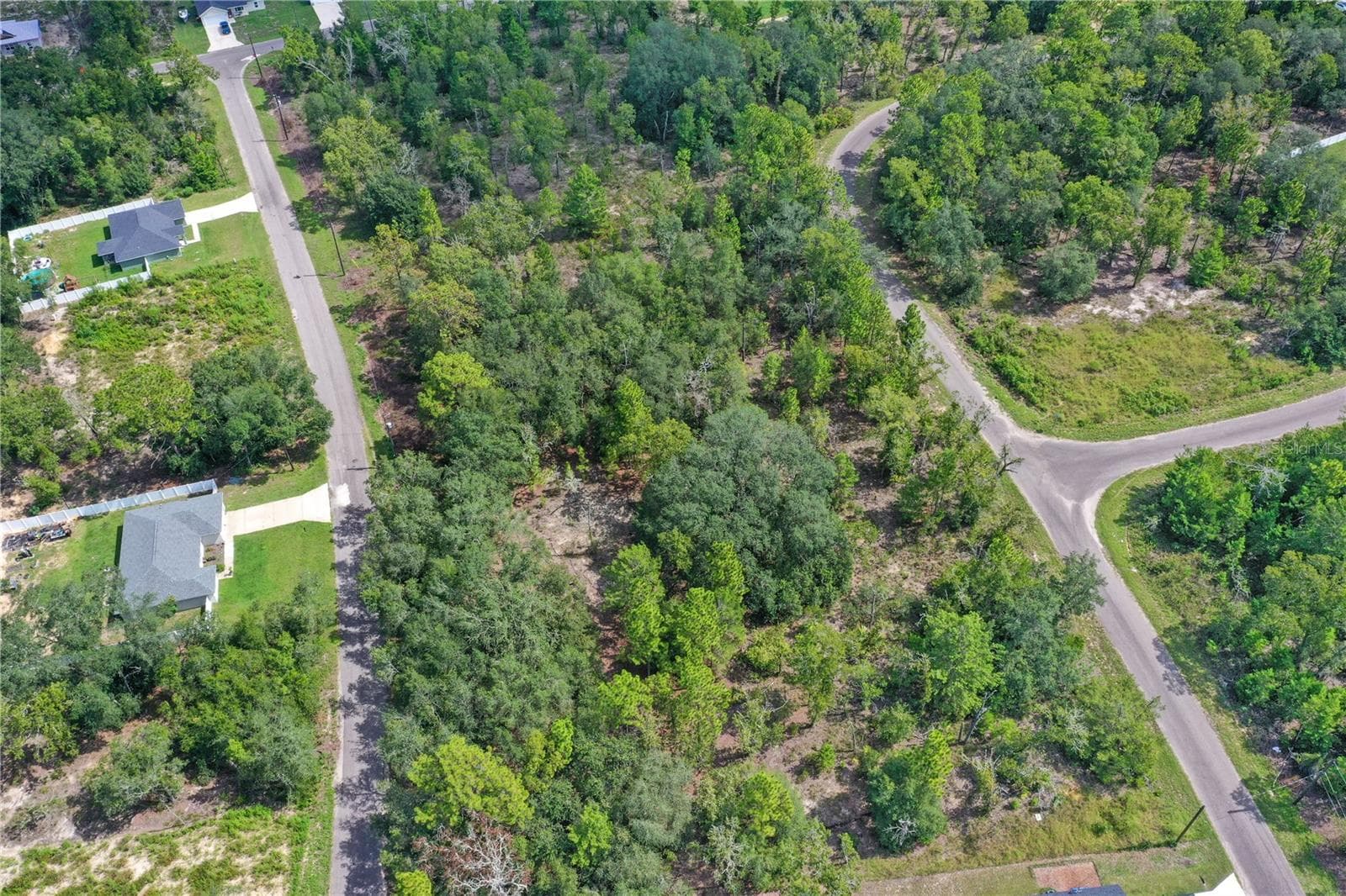 Land at 0024 GUAVA PASS DR, OCKLAWAHA, photo 6 of 24