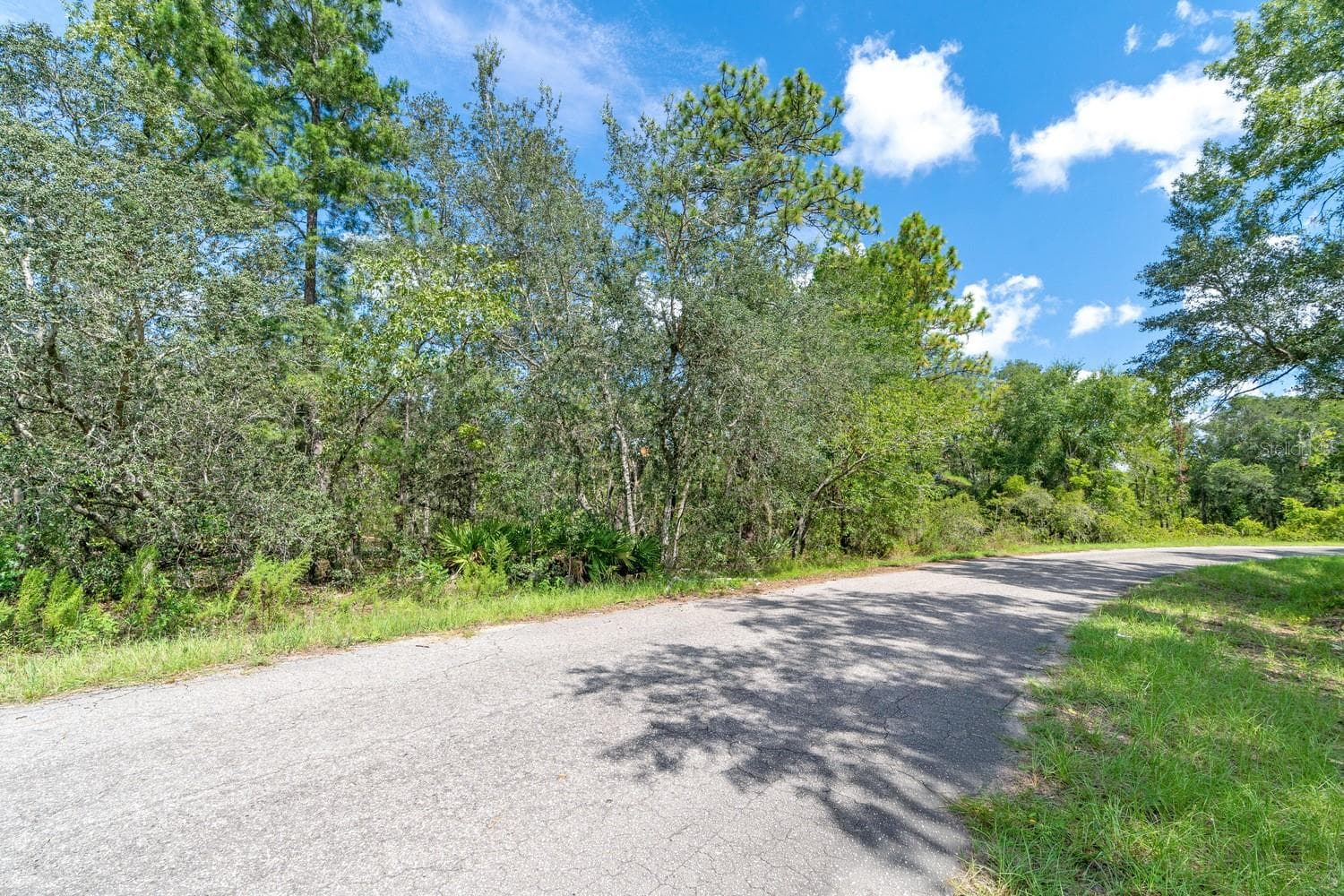 Land at 0024 GUAVA PASS DR, OCKLAWAHA, photo 21 of 24