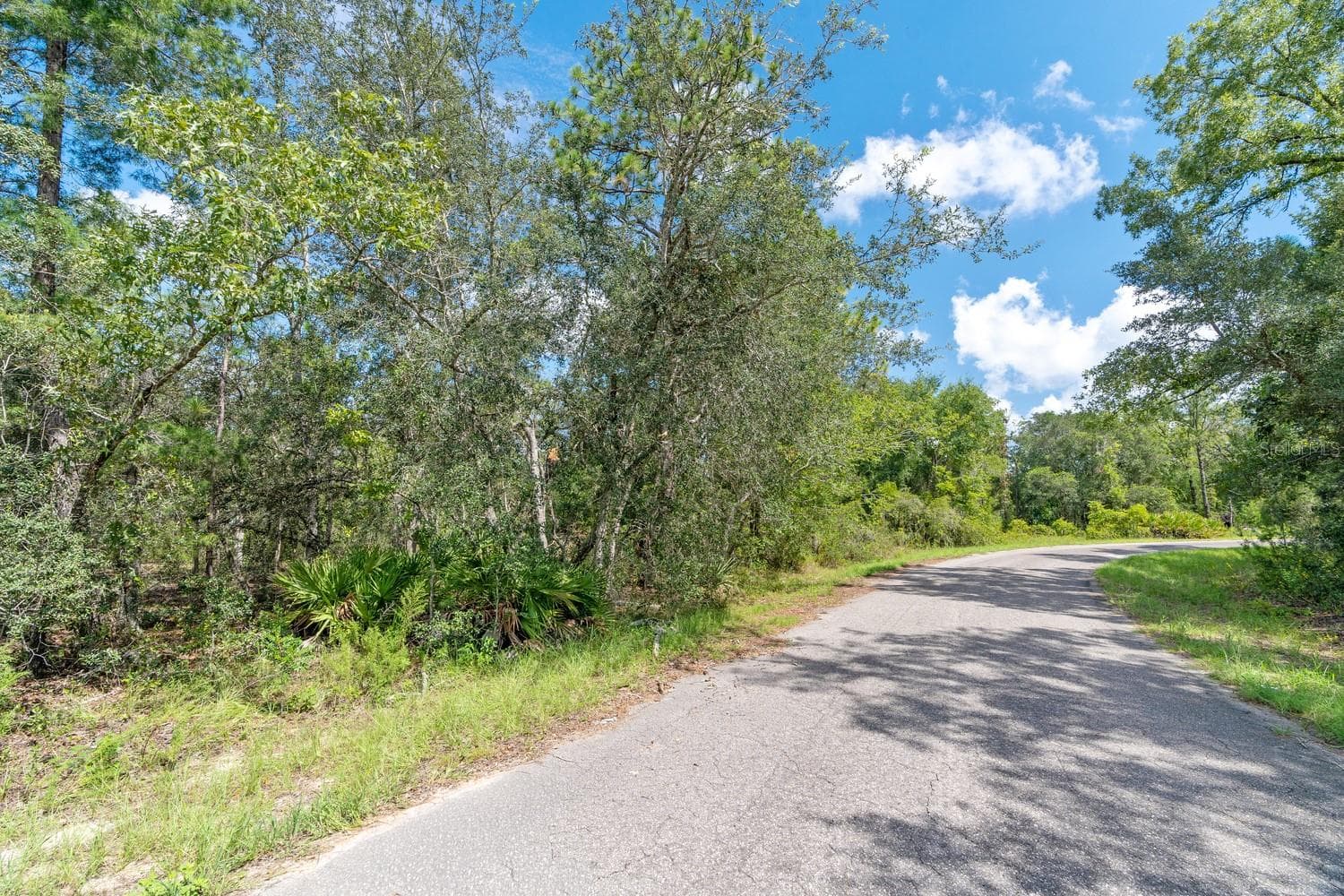 Land at 0024 GUAVA PASS DR, OCKLAWAHA, photo 22 of 24