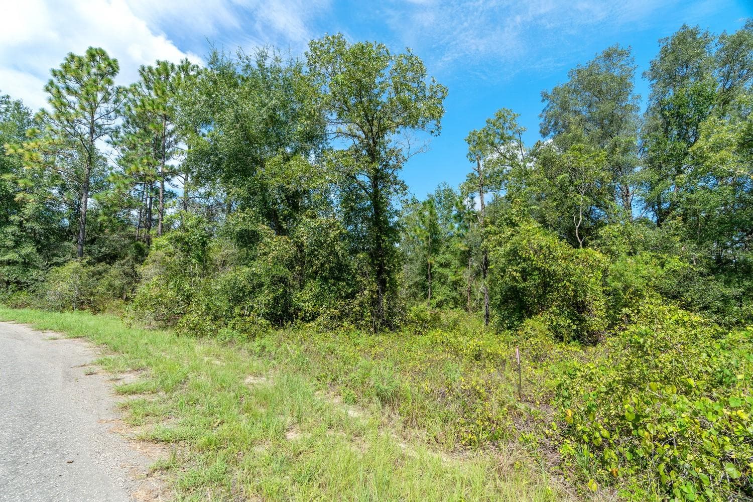 Land at 0024 GUAVA PASS DR, OCKLAWAHA, photo 23 of 24