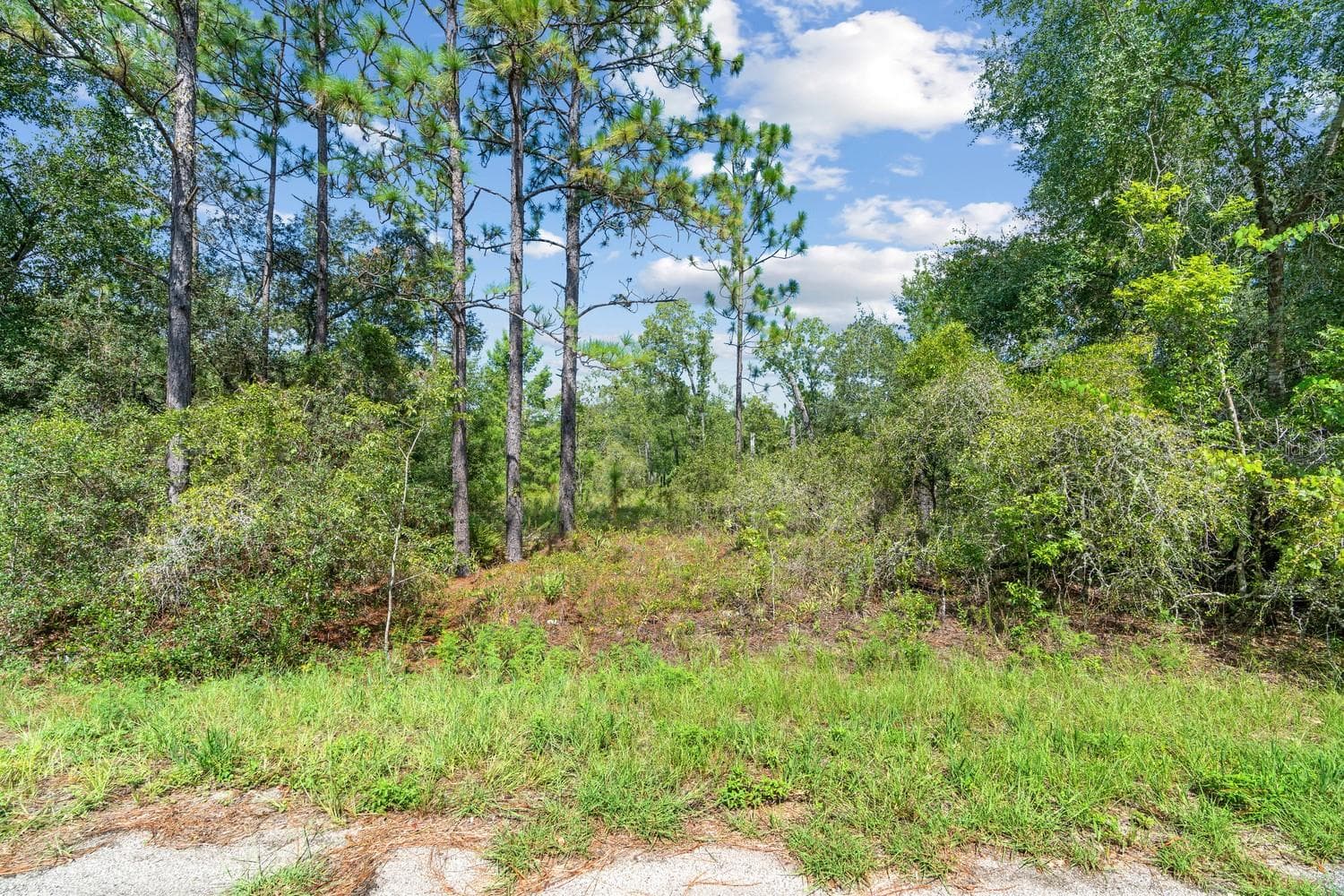 Land at 0024 GUAVA PASS DR, OCKLAWAHA, photo 18 of 24