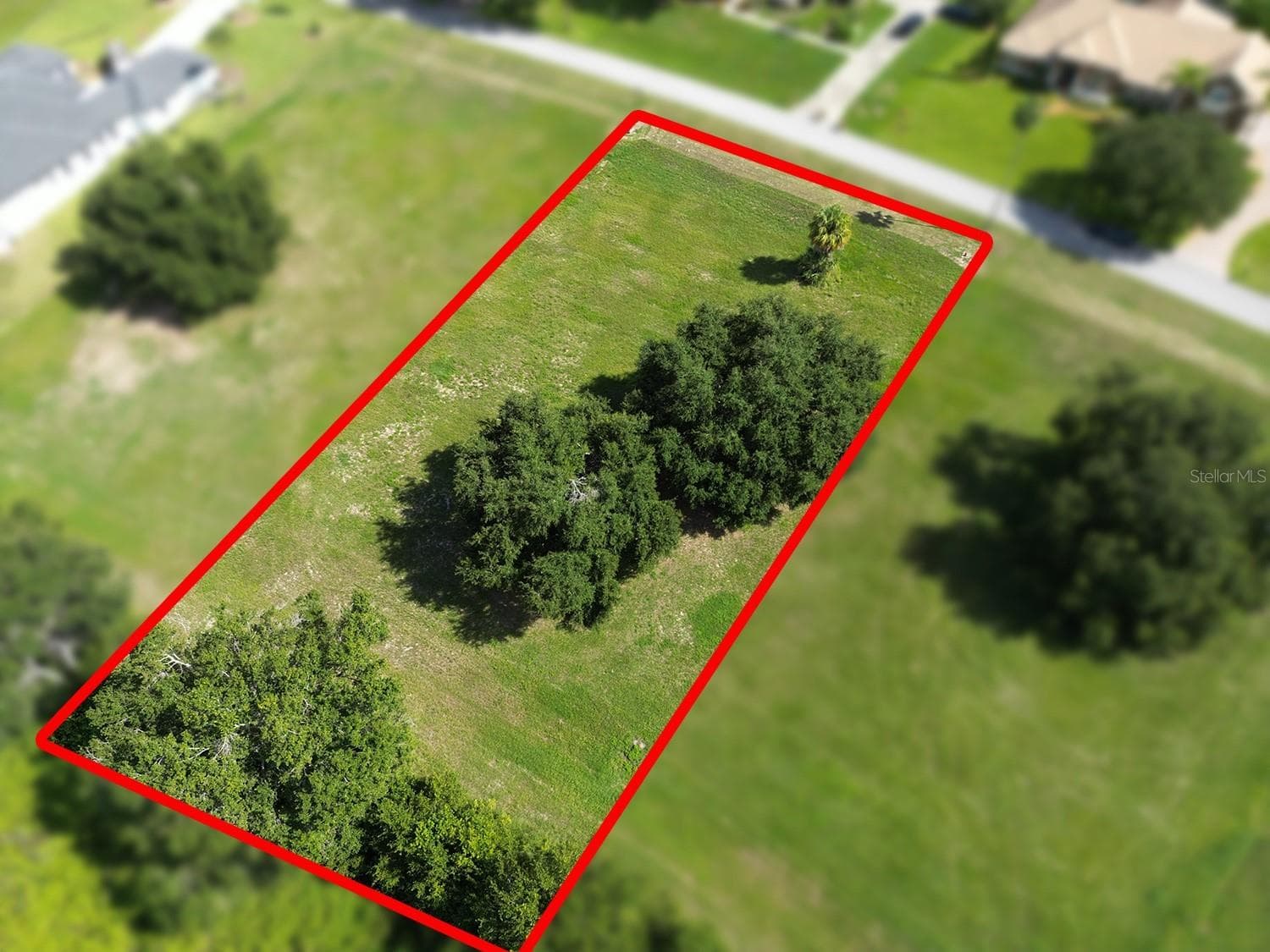 Birds Eye View - ROYAL PALM DR #15, GROVELAND