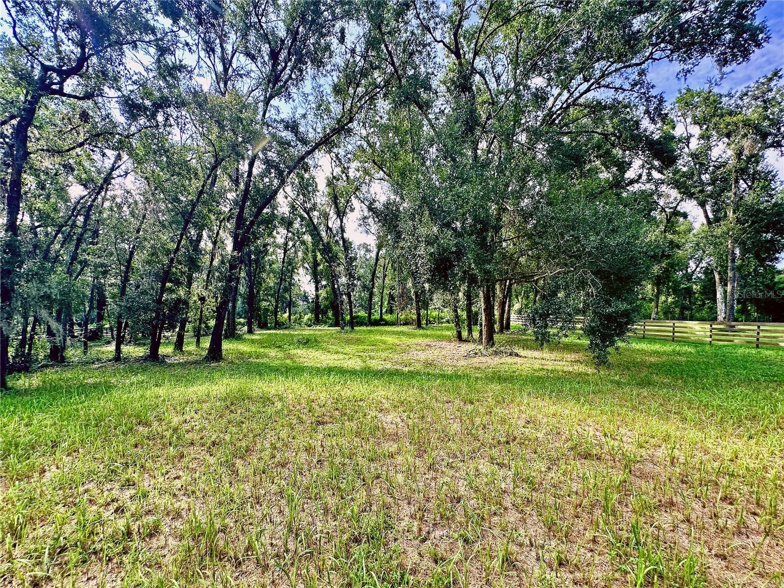 Land at 35174 ROTH LN, DADE CITY, photo 6 of 22