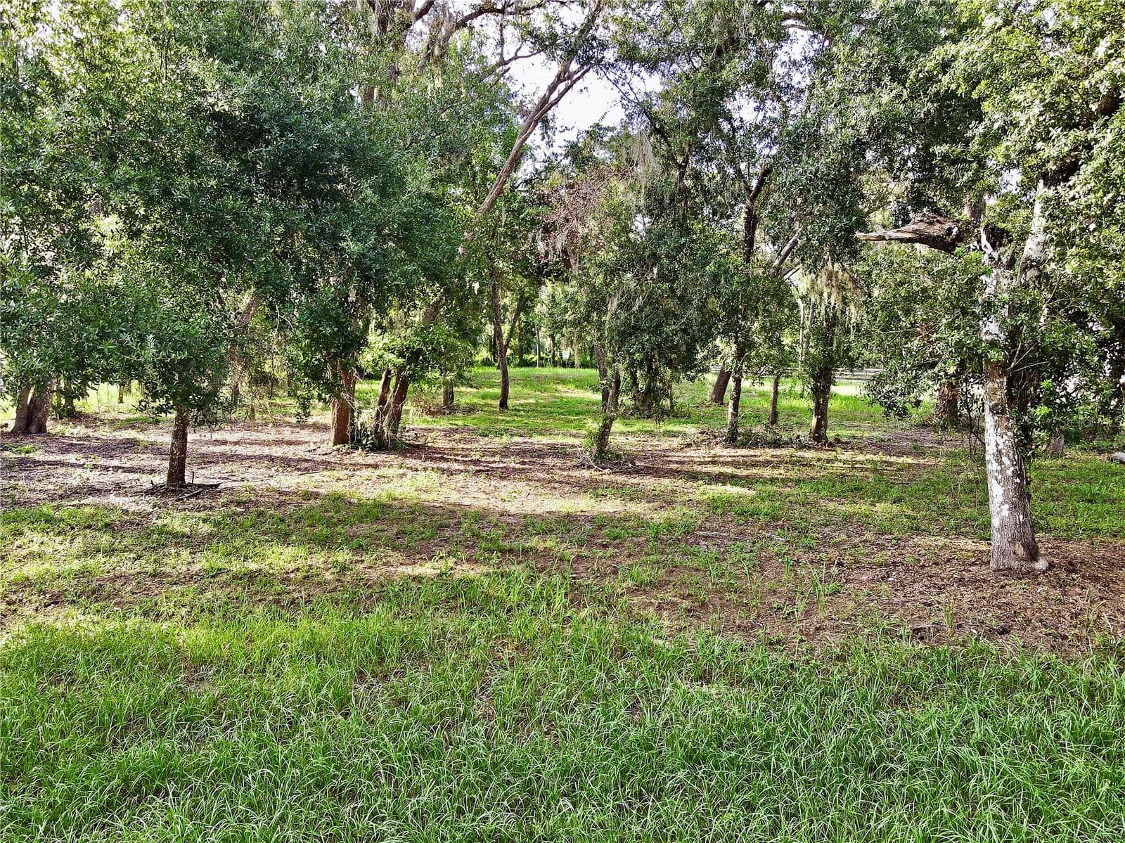 Land at 35174 ROTH LN, DADE CITY, photo 7 of 22