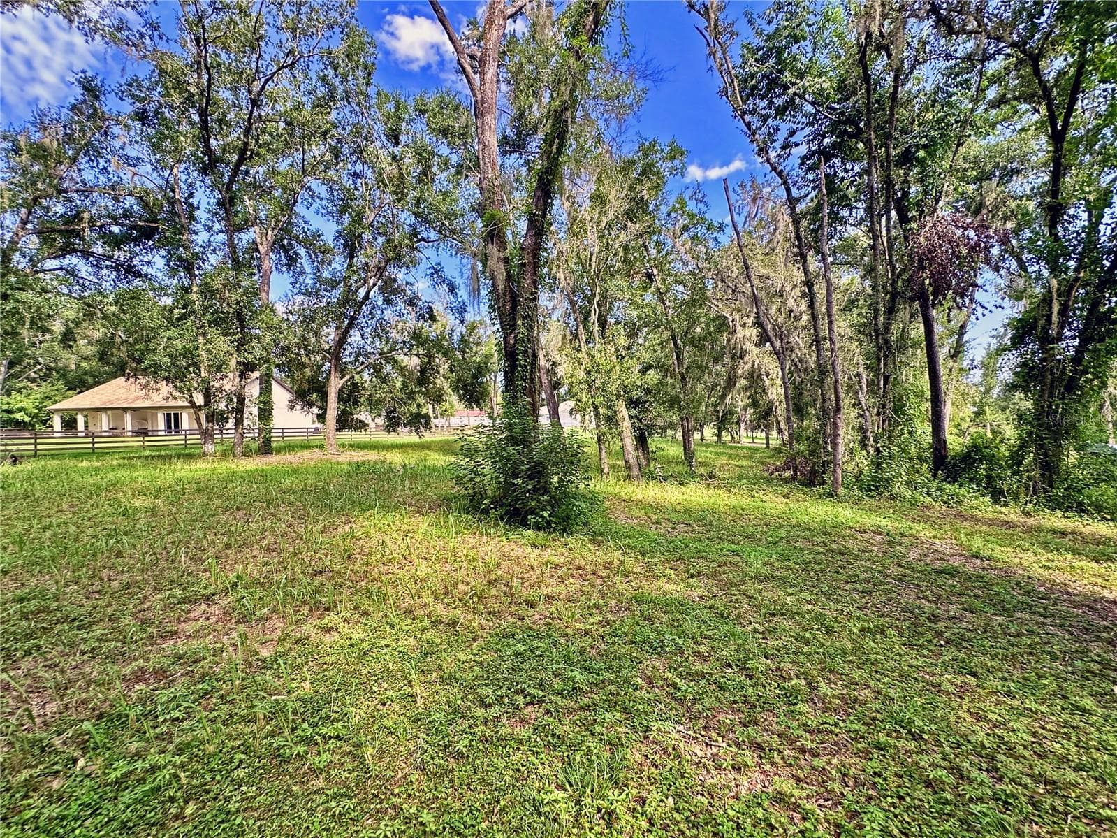 Land at 35174 ROTH LN, DADE CITY, photo 20 of 22