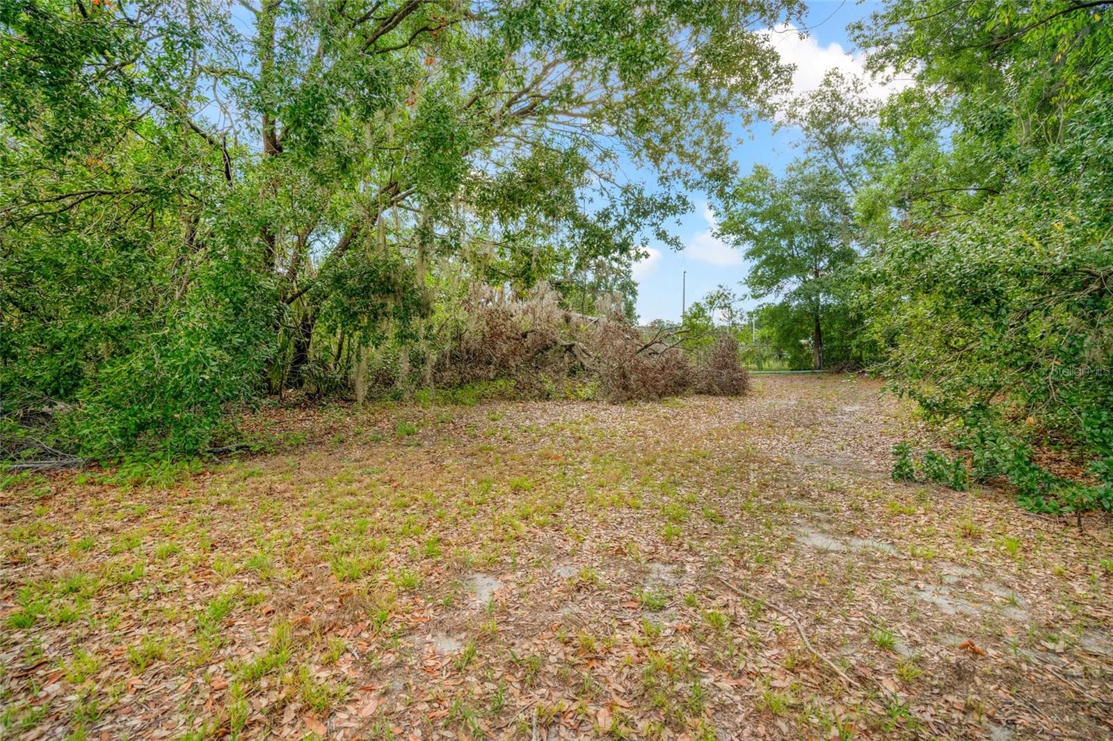 Land at 3611 W REYNOLDS ST #1/2, PLANT CITY, photo 5 of 17